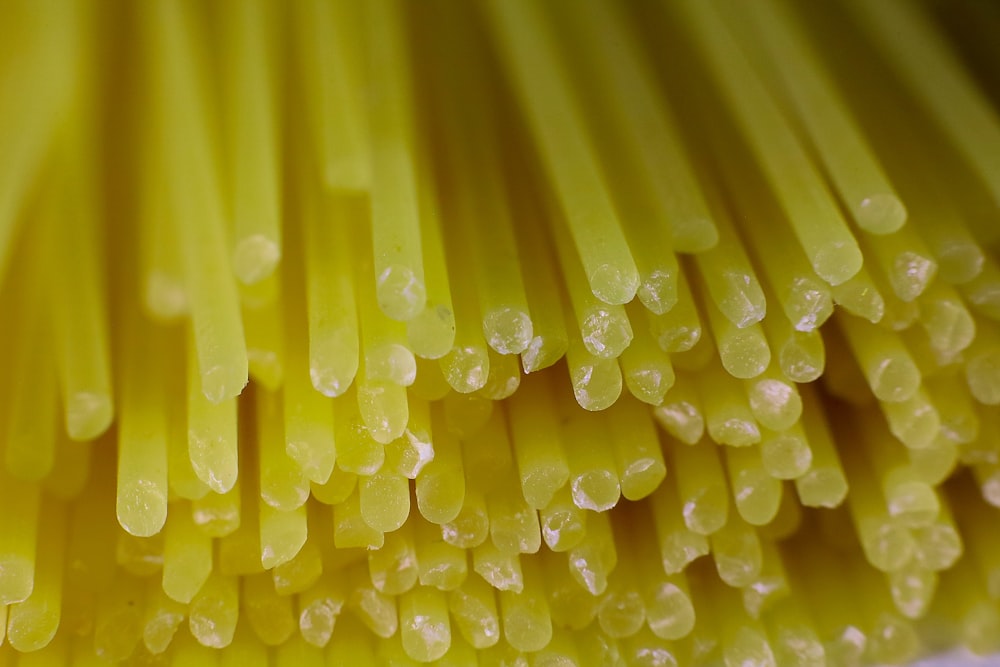 a close up of a bunch of yellow straws