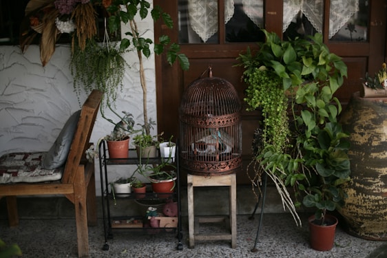 A cozy corner featuring a variety of mini artificial succulents and hanging ferns arranged on a rustic wooden plant stand.