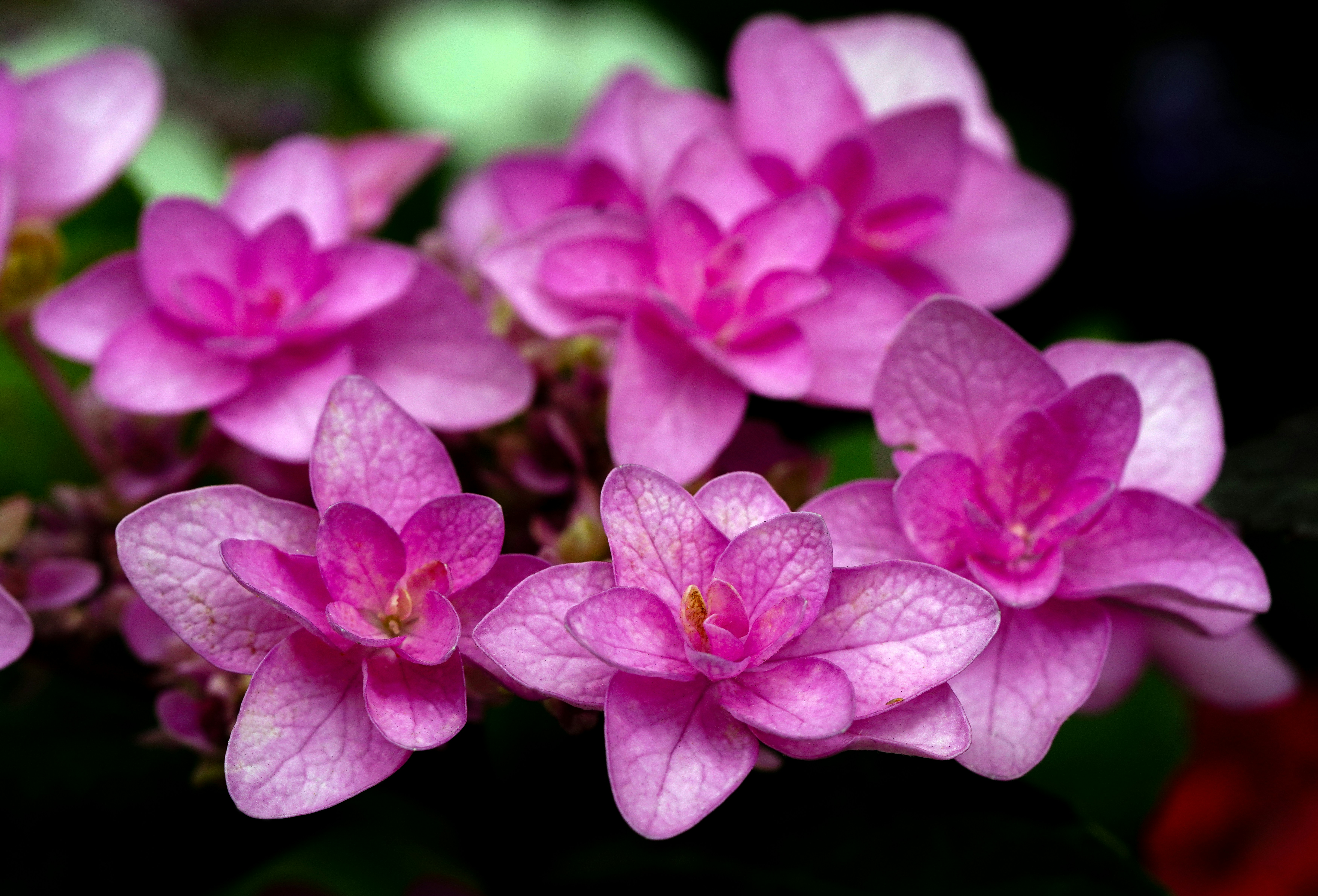 Photo by kim_dae_jeung