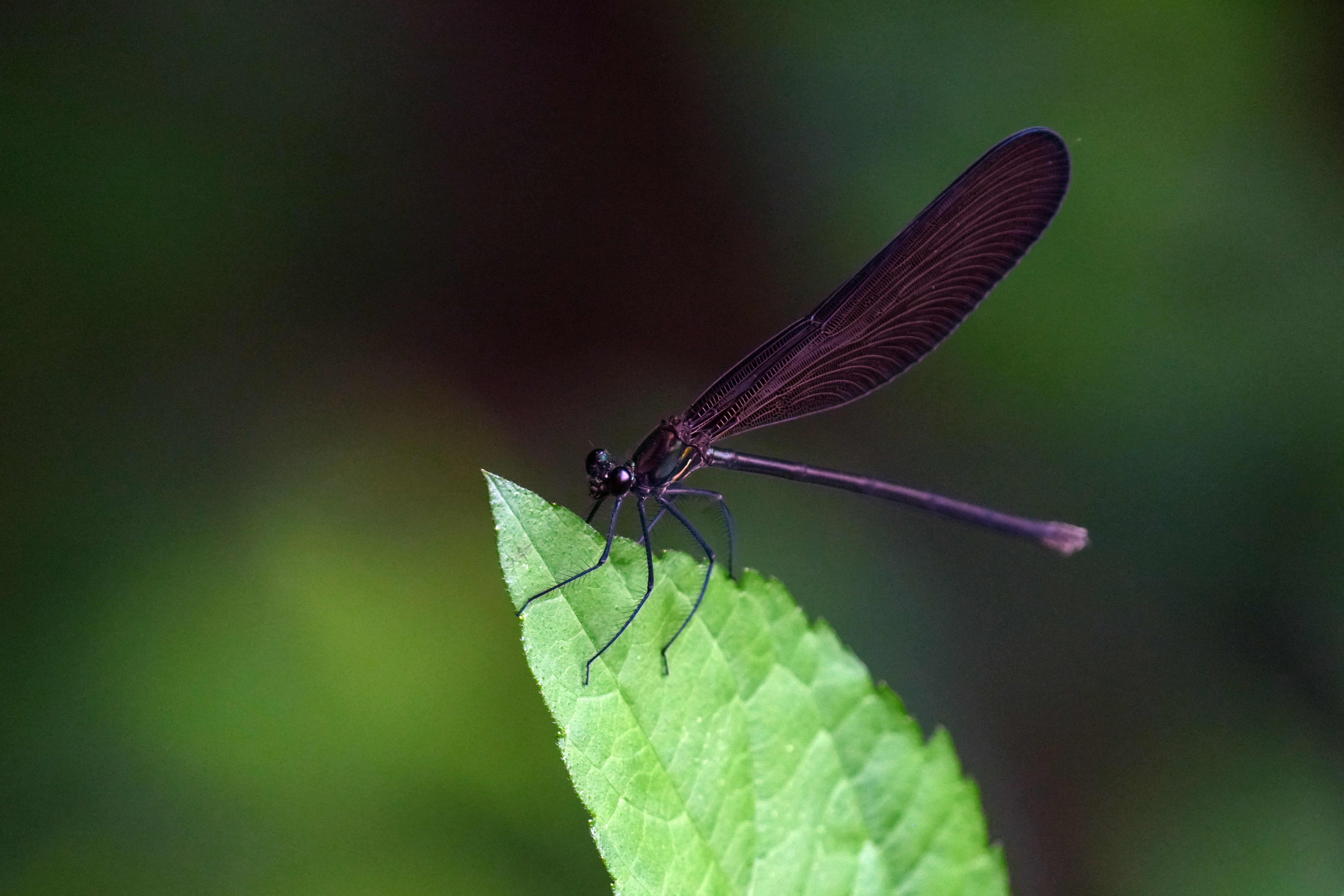 Photo by kim_dae_jeung