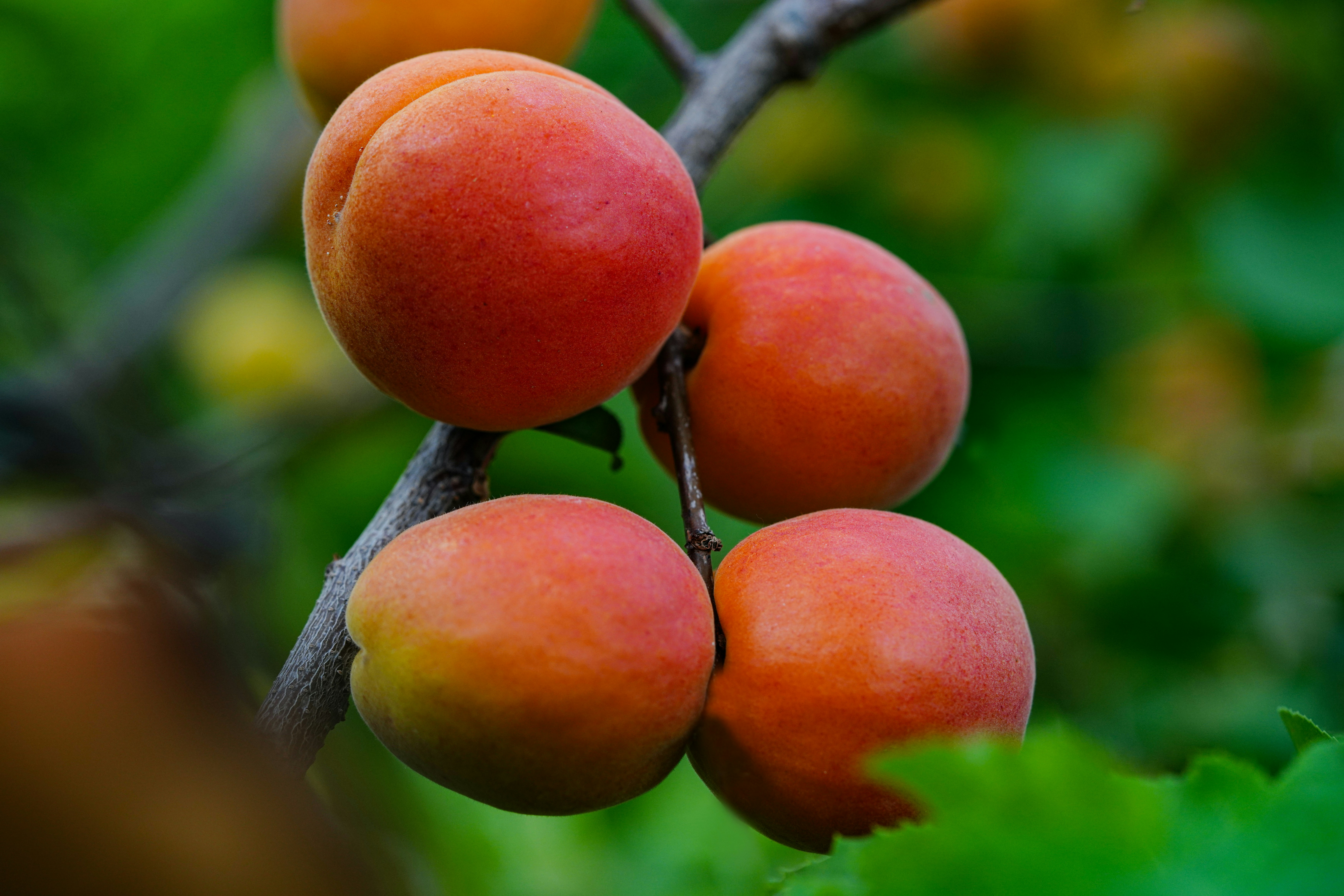 Photo by kim_dae_jeung