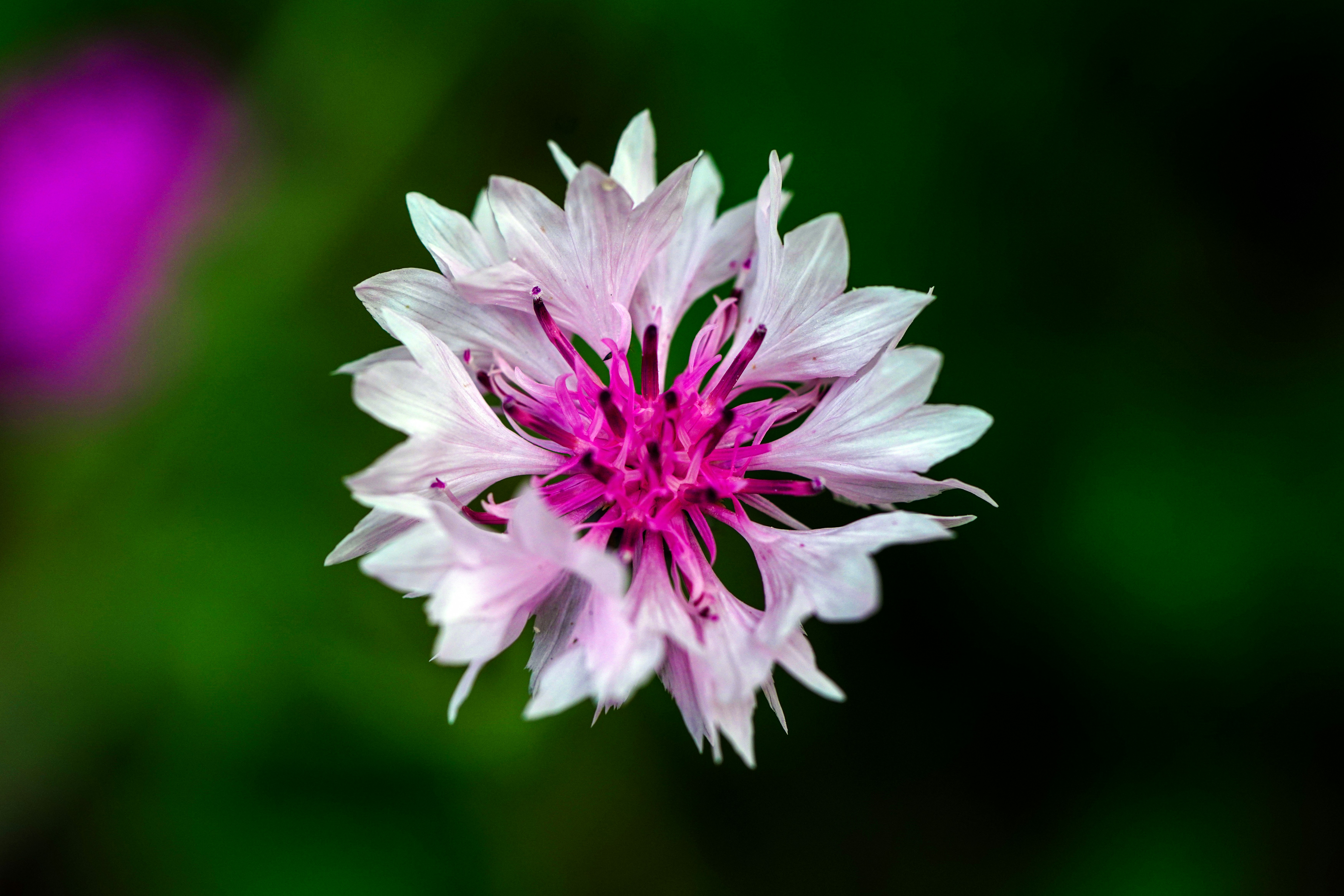 Photo by kim_dae_jeung