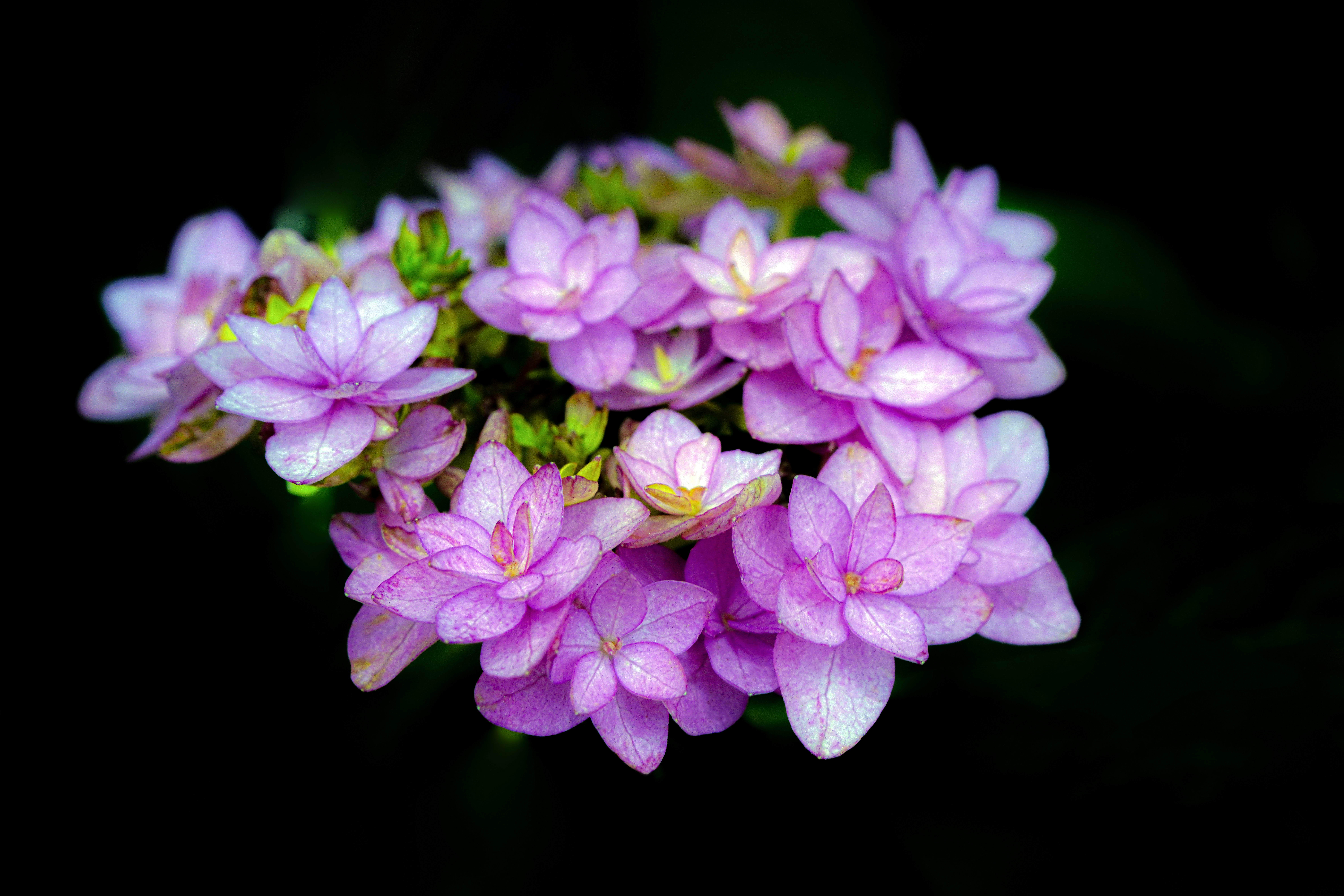 Photo by kim_dae_jeung