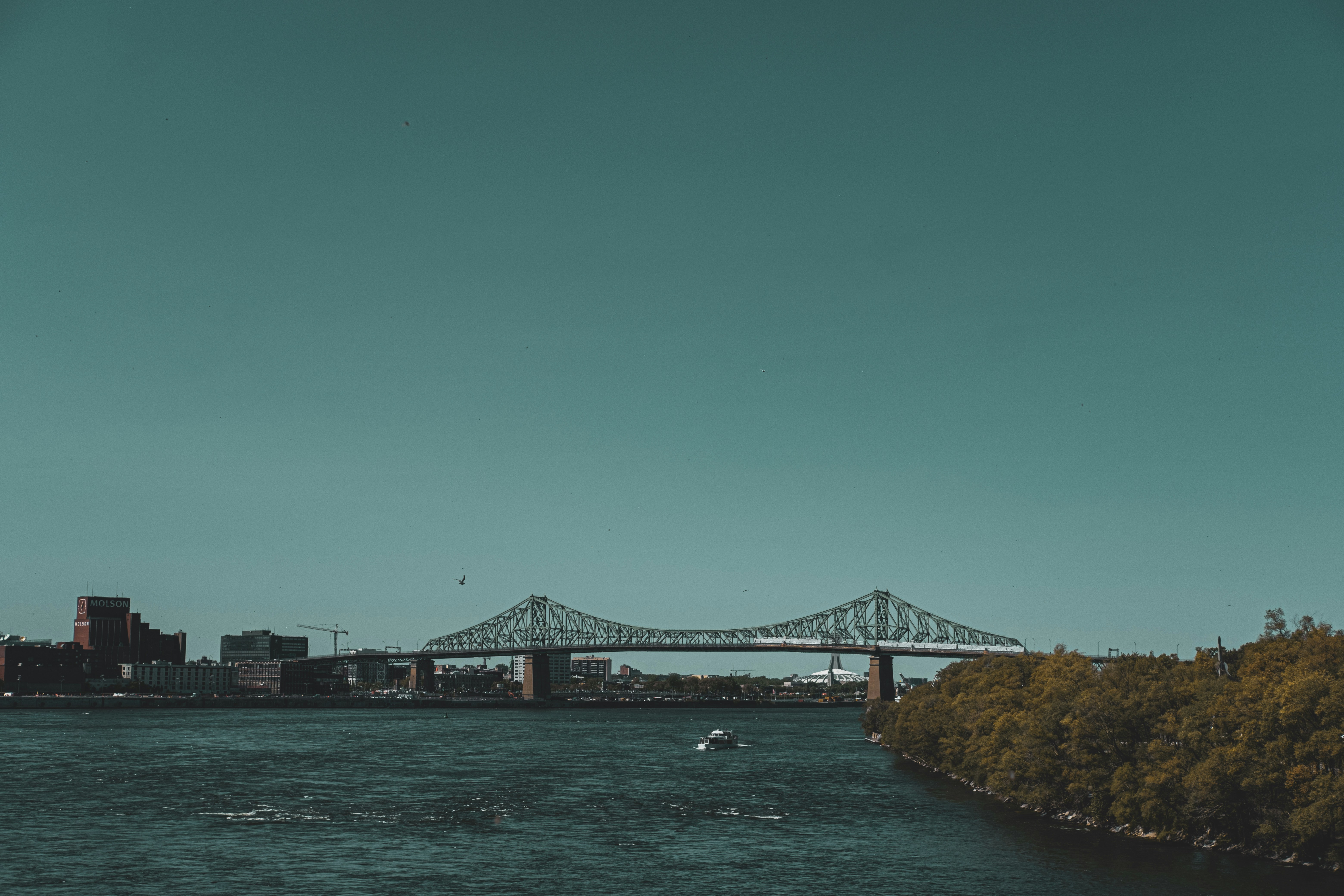 Photo by dana_andreea