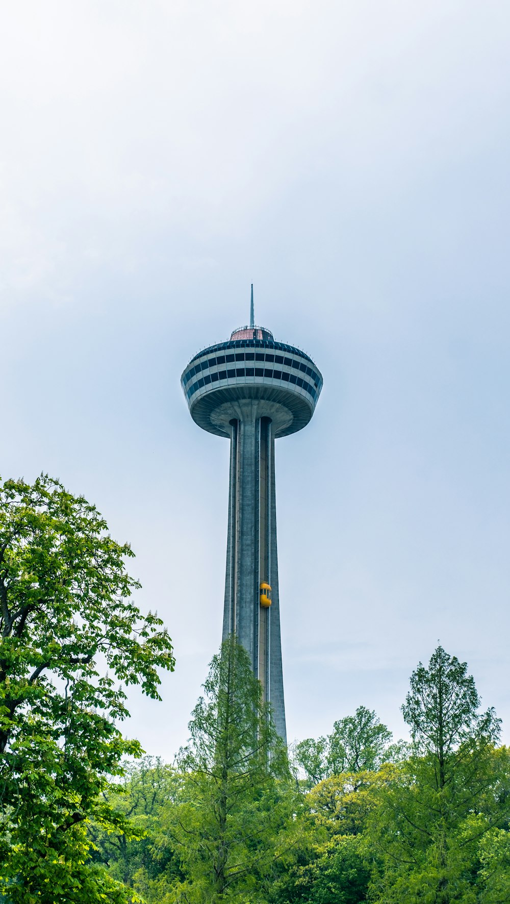 a tall tower in the middle of a forest