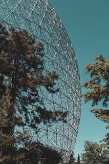 A large, geodesic dome structure made of metal trusses dominates the scene. The intricate latticed network of the dome contrasts against a clear turquoise sky. In the foreground, tall trees with dark green foliage partially obscure the dome, adding a natural element to the otherwise architectural composition.
