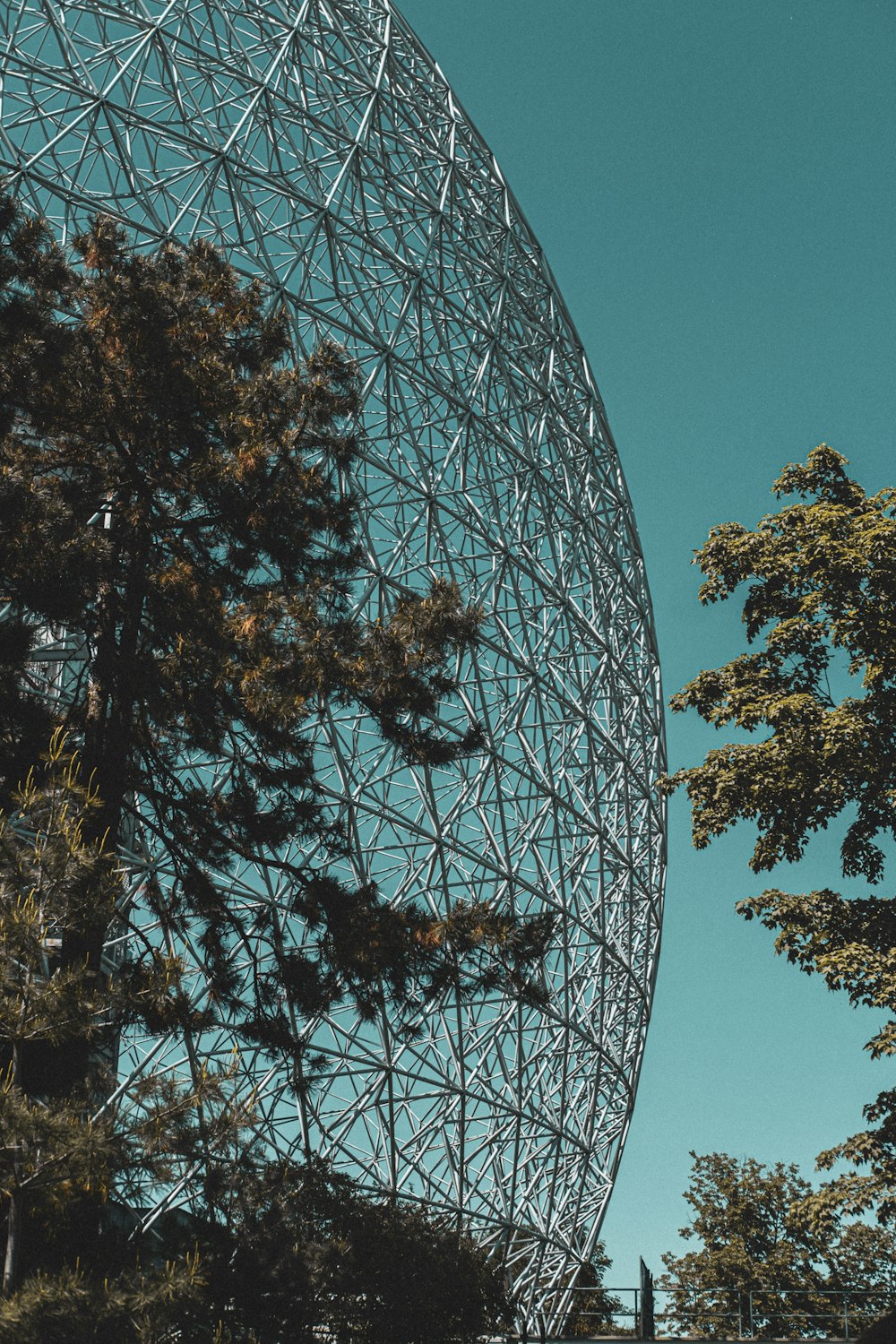 a large metal structure sitting in the middle of a forest