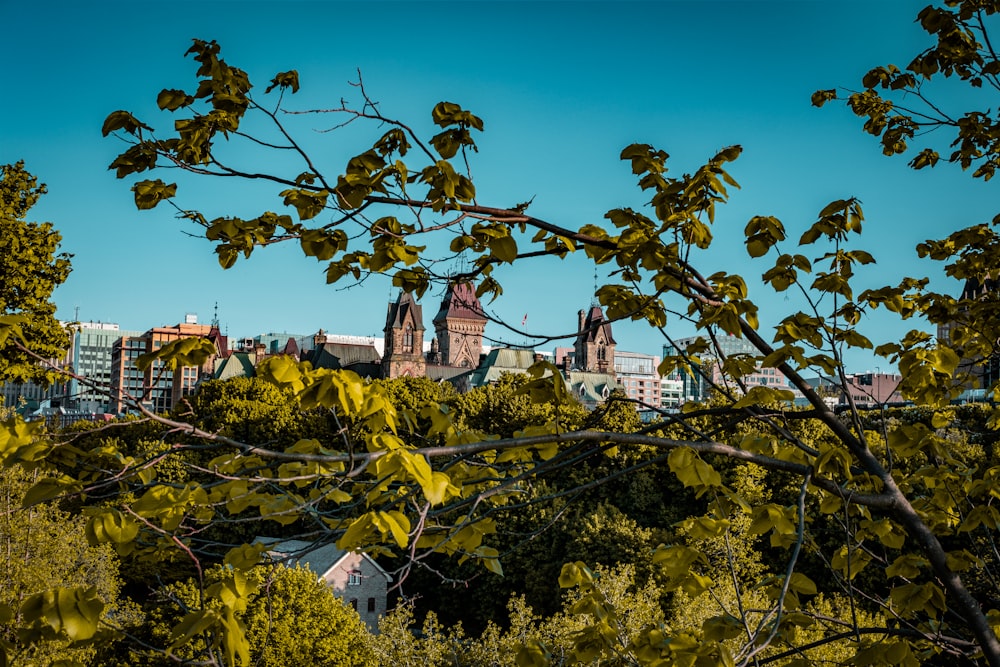 a view of a city through the trees