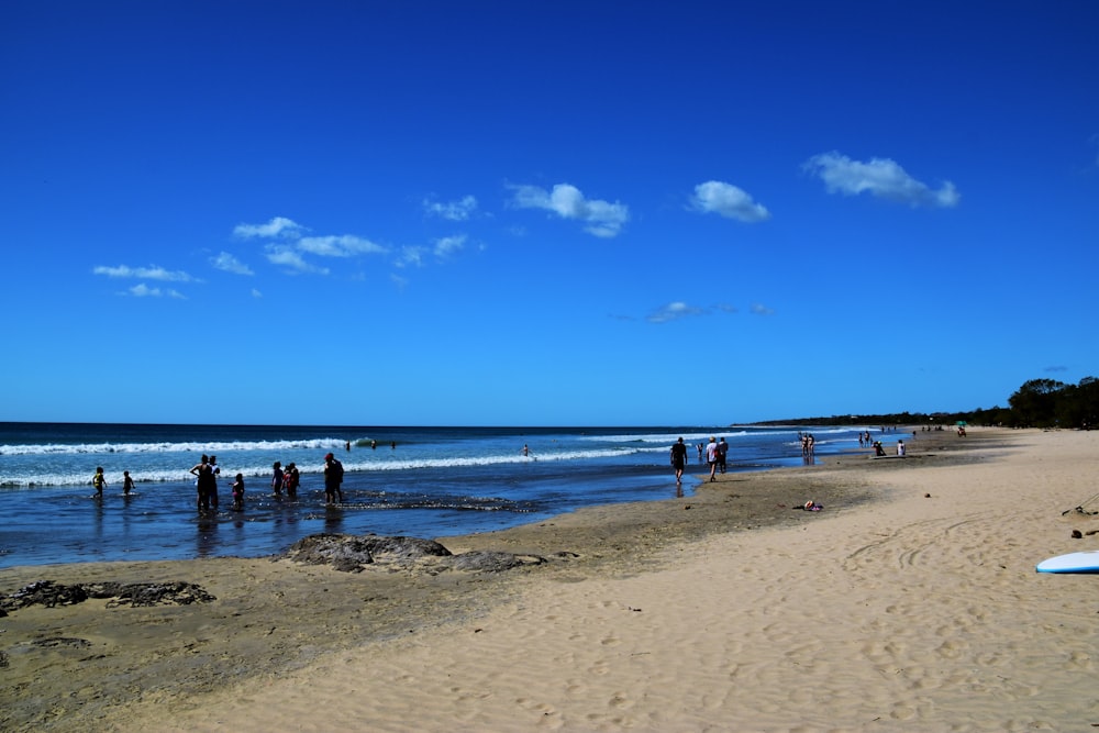 a group of people standing on top of a sandy beach