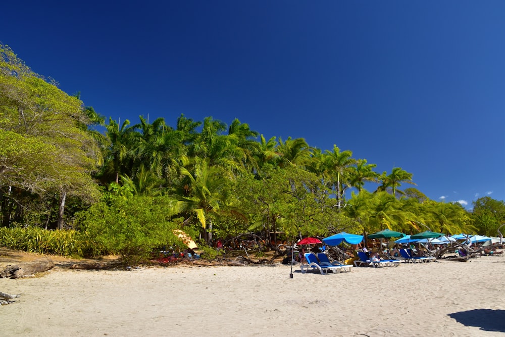 a group of people sitting under umbrellas on a beach