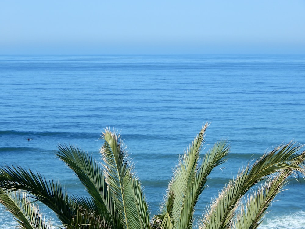 a view of a body of water from a hill