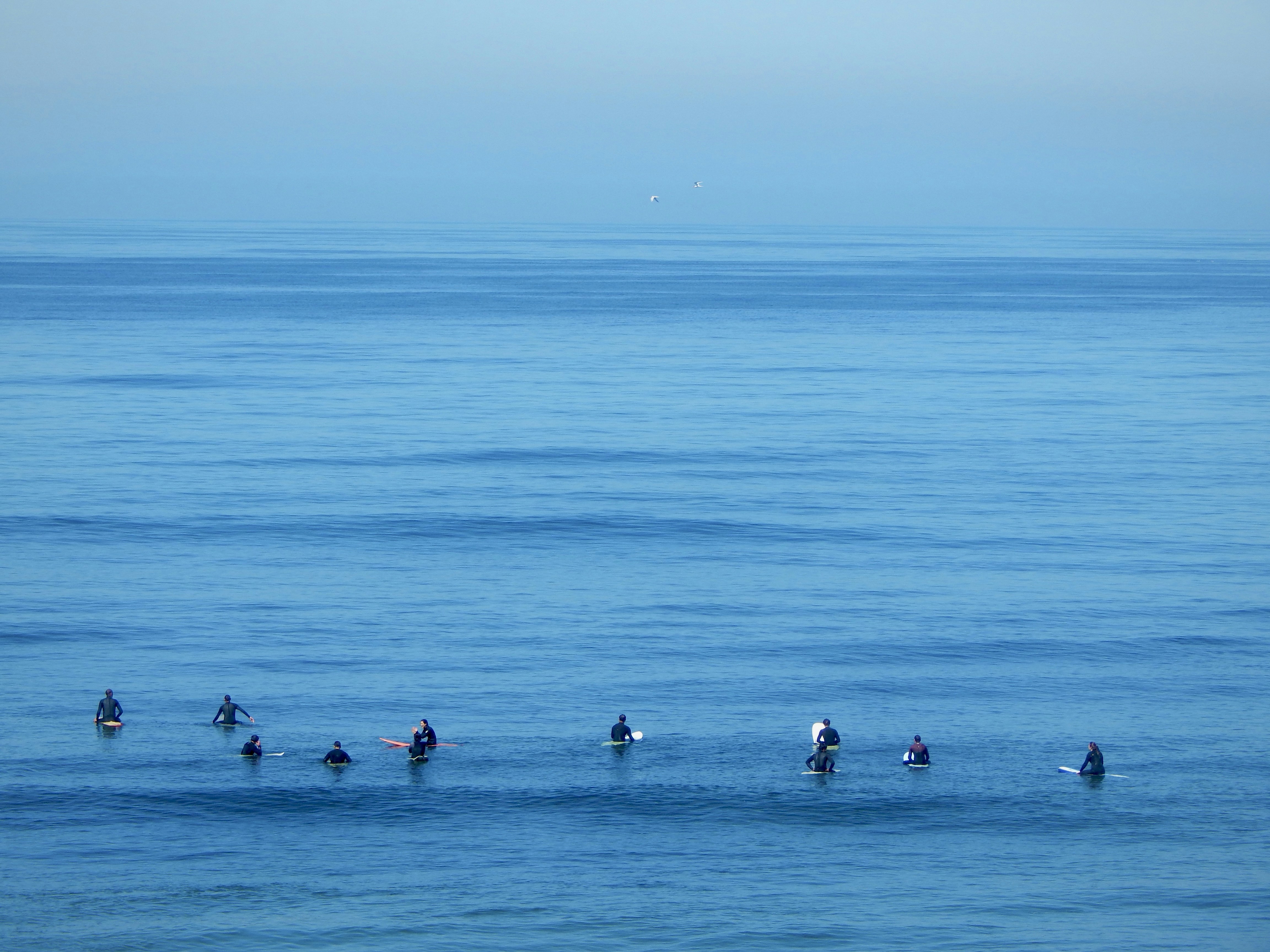 Surfers in the ocean