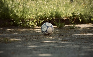 A soccer ball is placed on a gravel surface surrounded by overgrown grass and wild plants. The scene is dimly lit, with shadows cast on the ground, creating a natural and rustic atmosphere.
