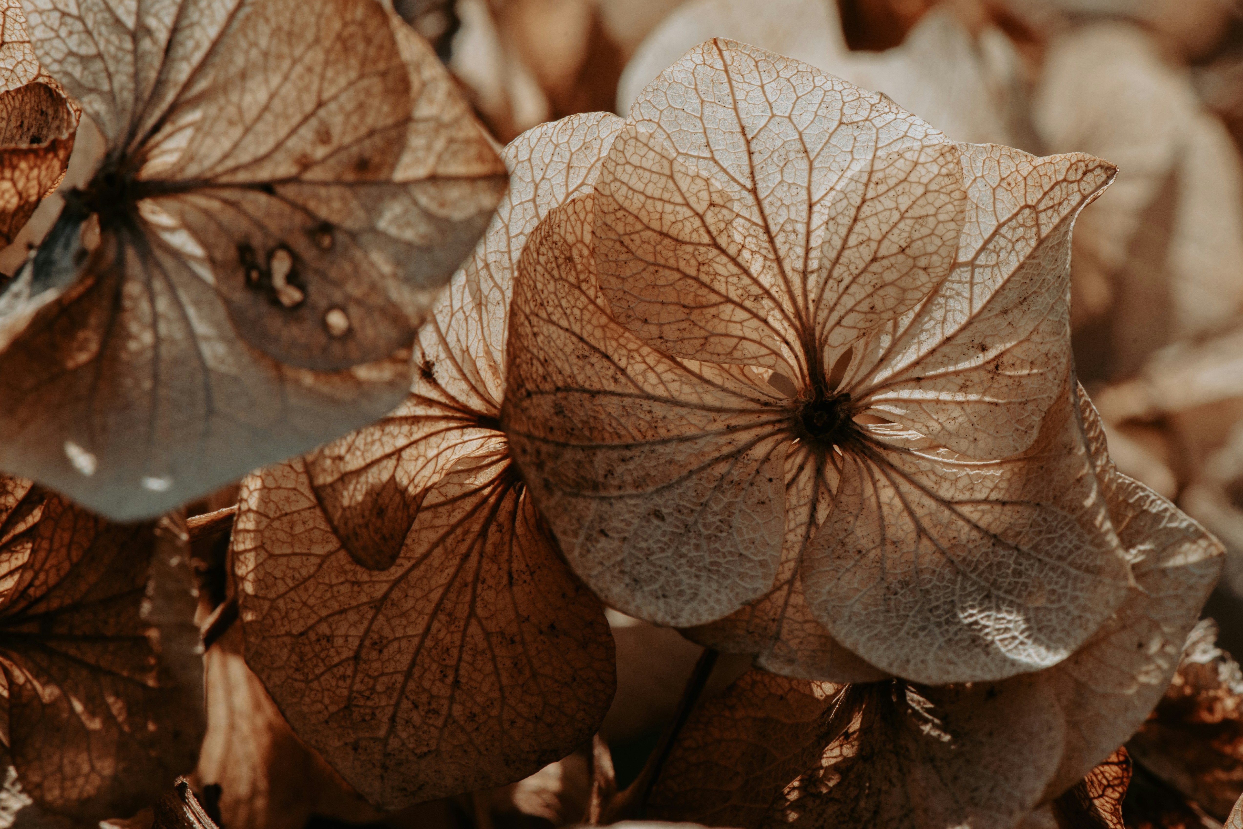 Photo by loriane_photography