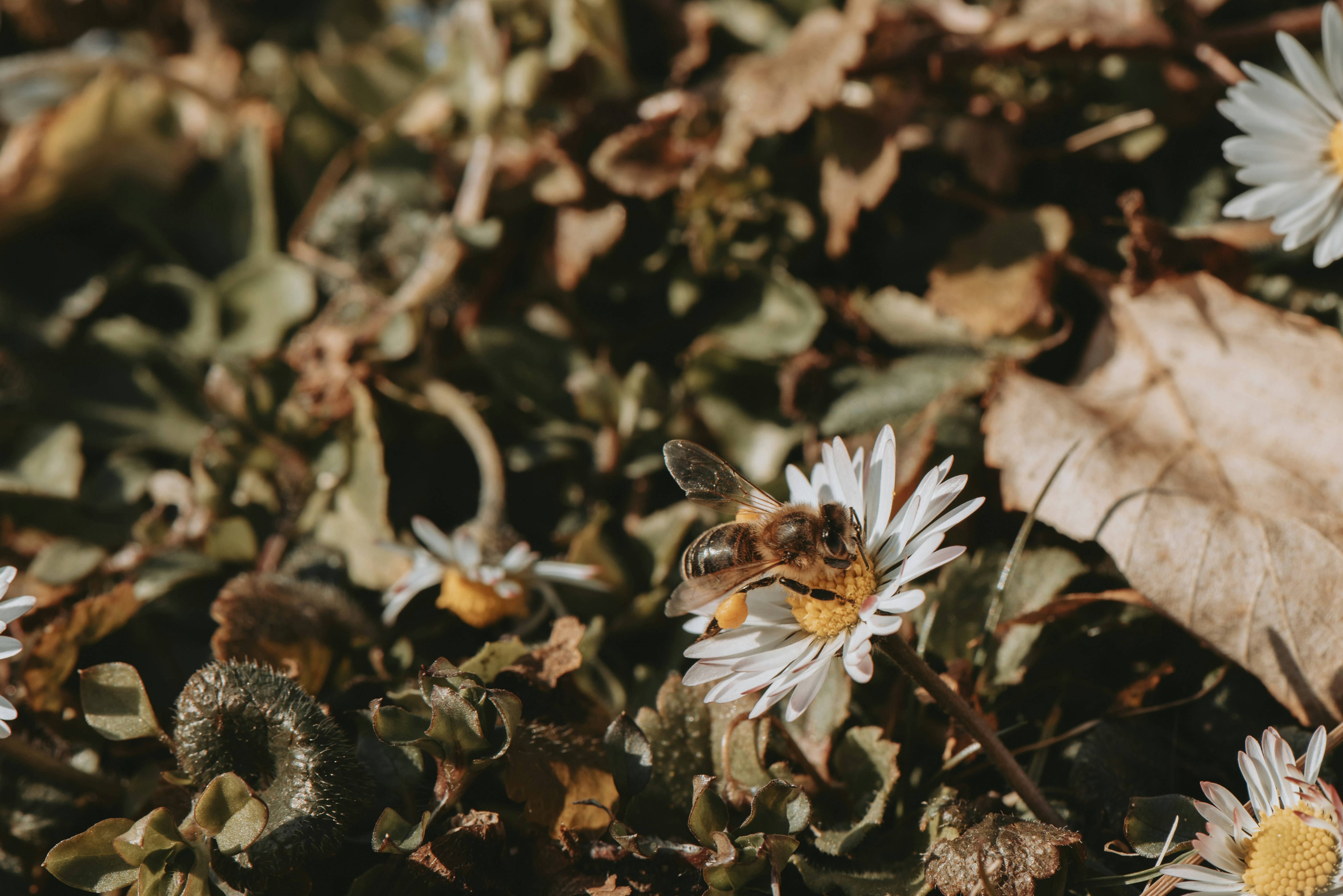 Photo by loriane_photography