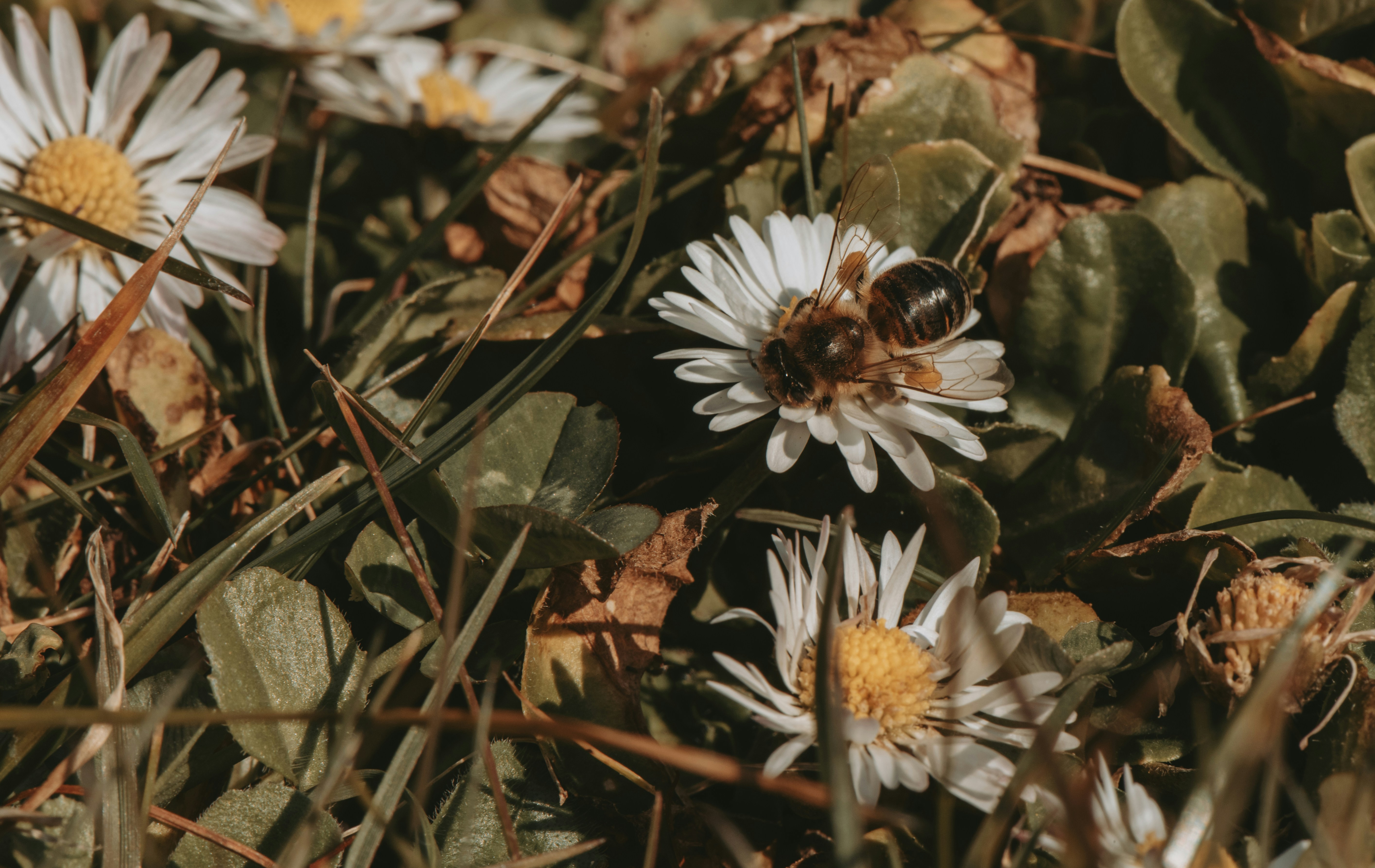 Photo by loriane_photography