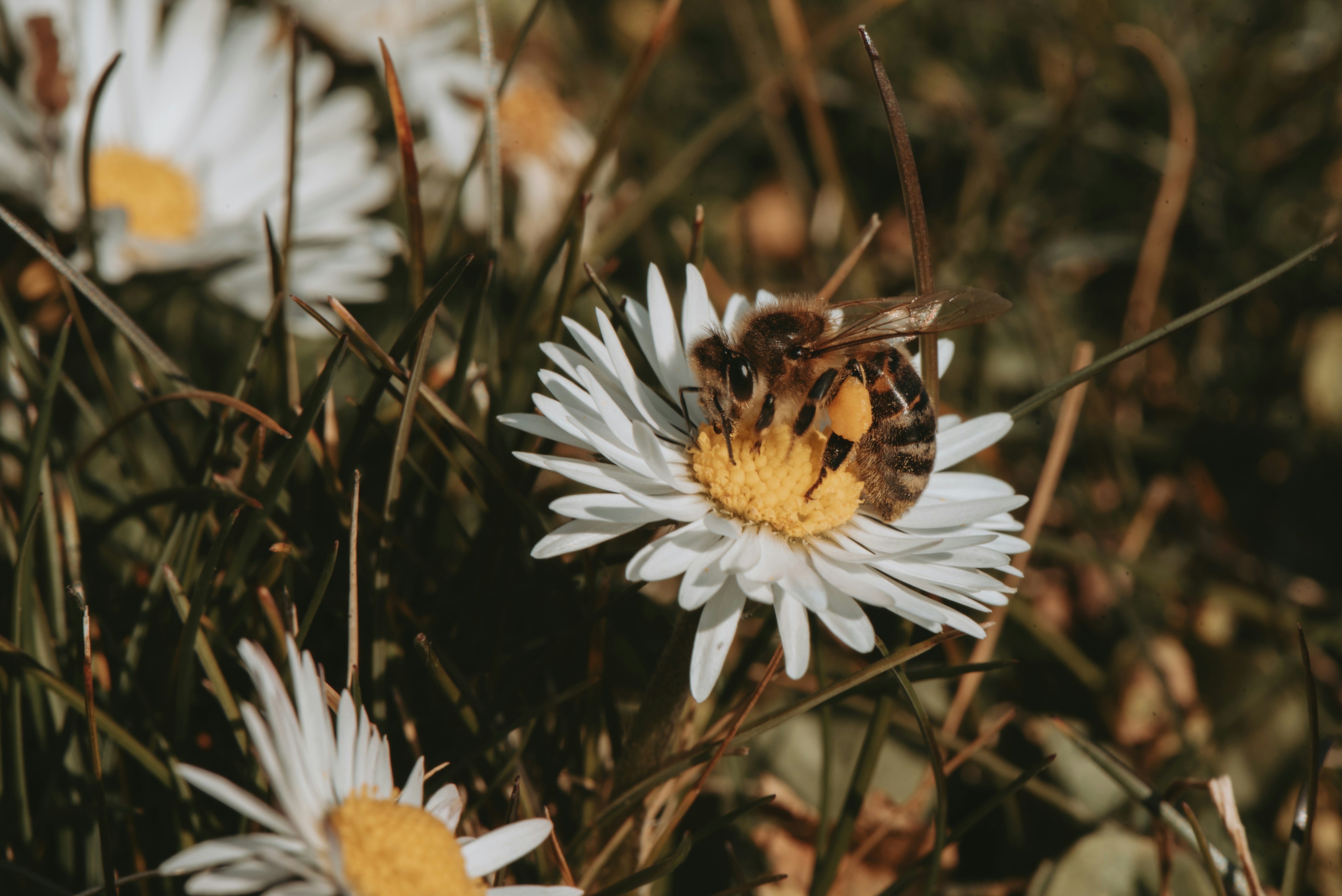 Photo by loriane_photography