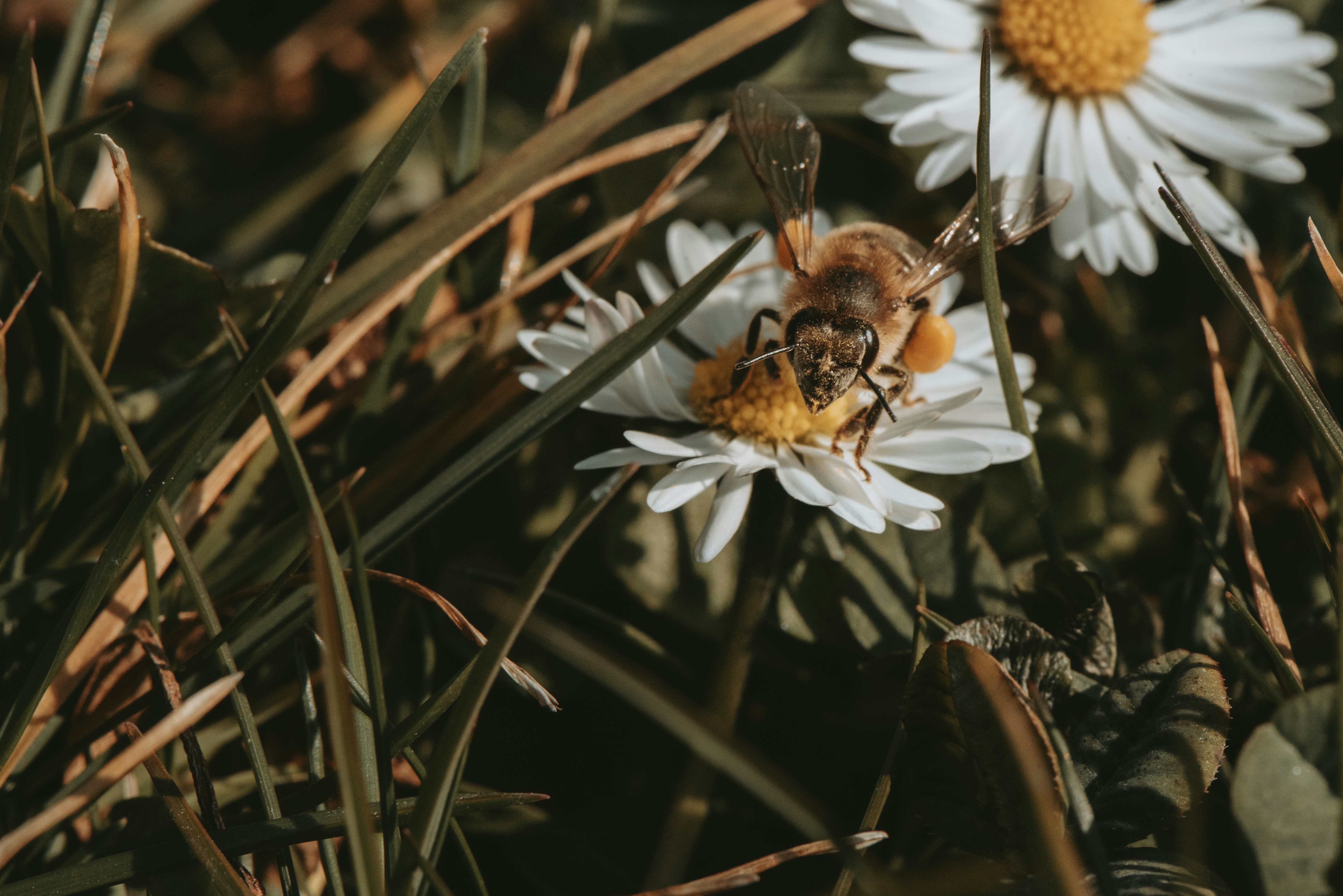 Photo by loriane_photography