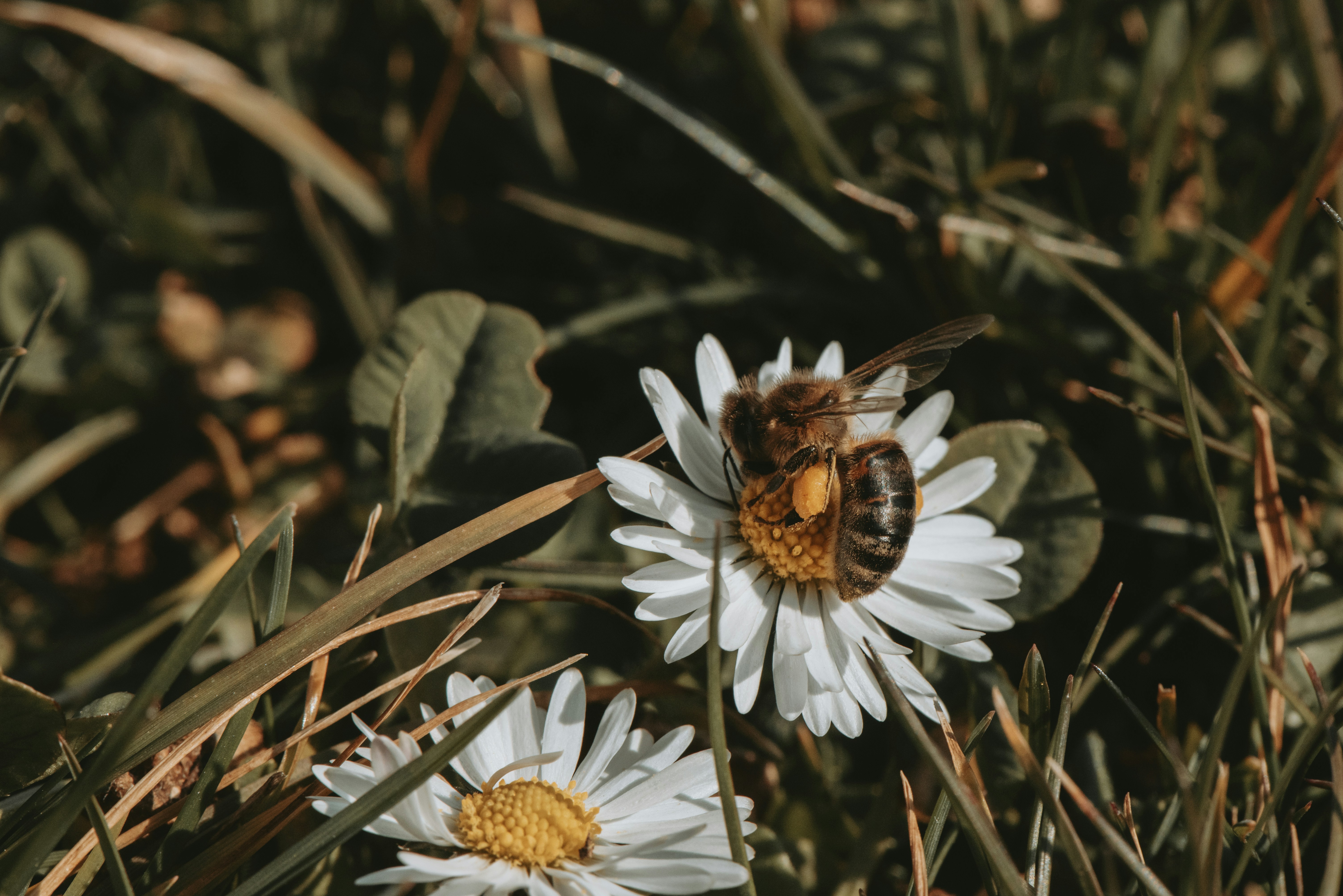 Photo by loriane_photography