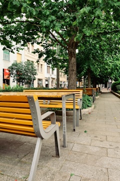 A tree-lined pedestrian pathway with yellow park benches placed on either side. The paved walkway is surrounded by lush greenery, including tall trees that provide ample shade. Buildings with various facades can be seen in the background, creating an urban park setting.