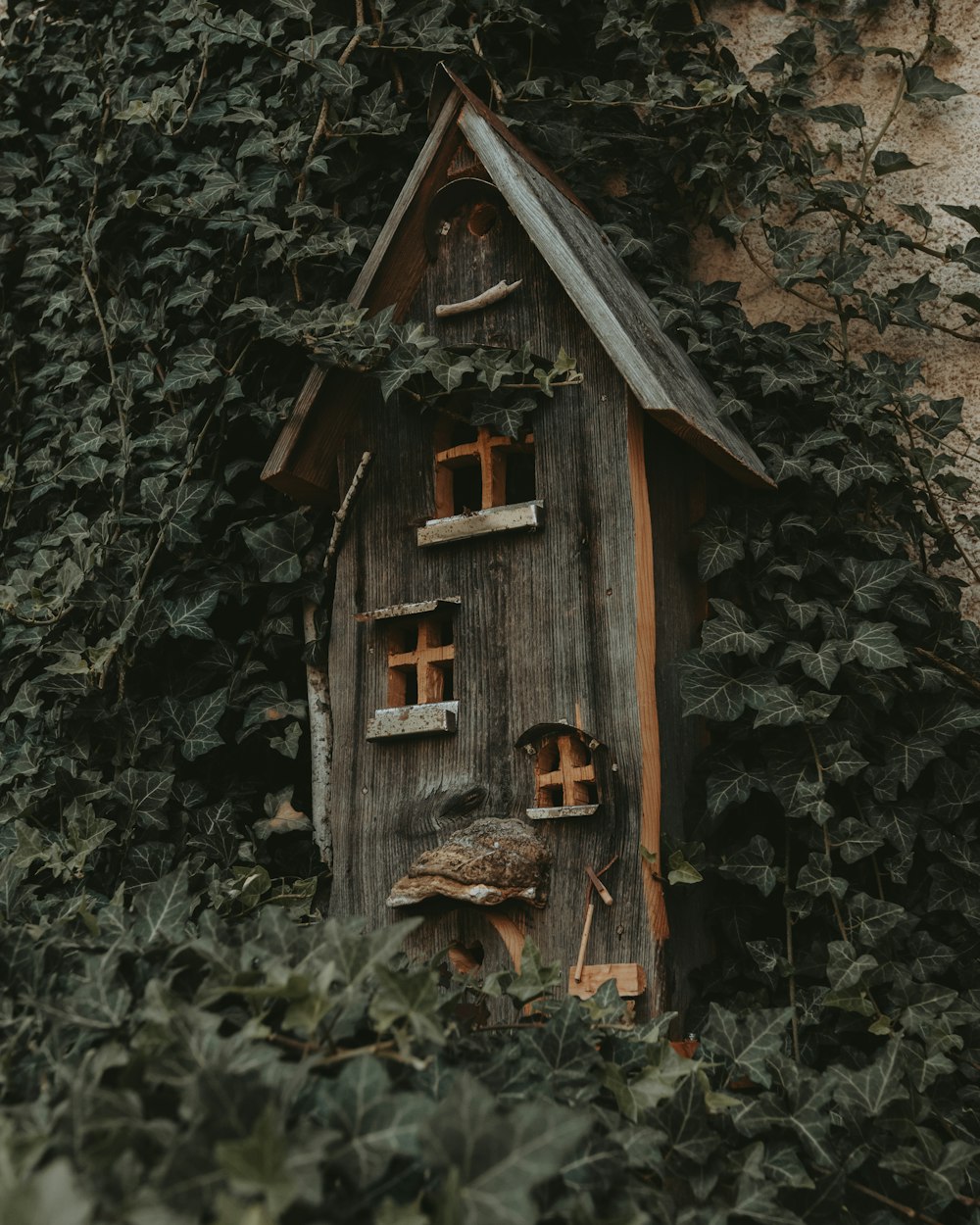 a birdhouse in the middle of a vine covered wall