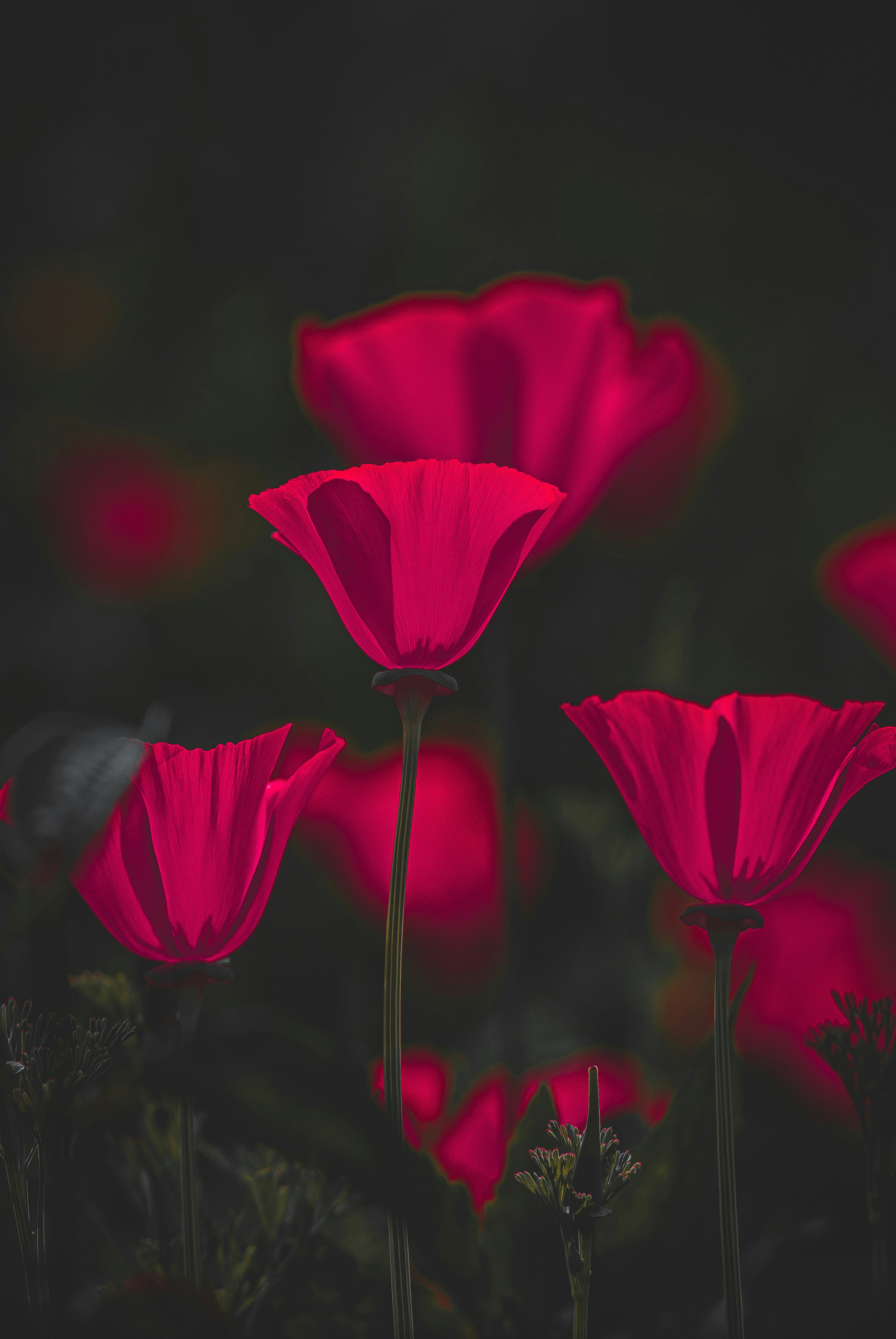 Photo by 3467634mikolaj