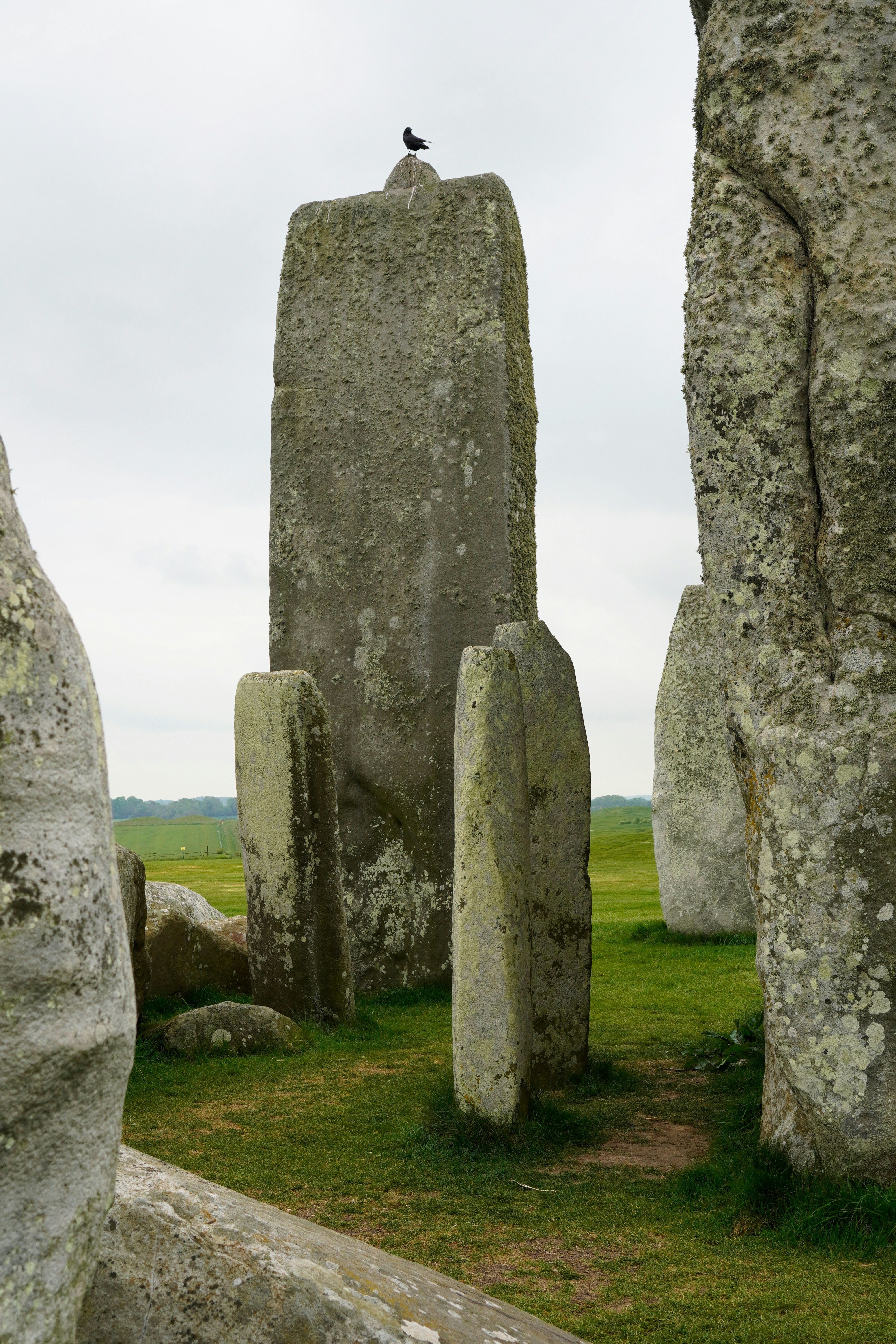 Photo by nataliagasiorowska