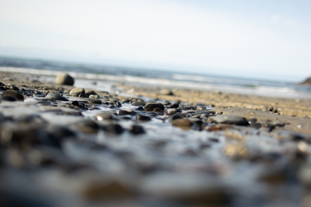a close up of rocks on a beach near the ocean