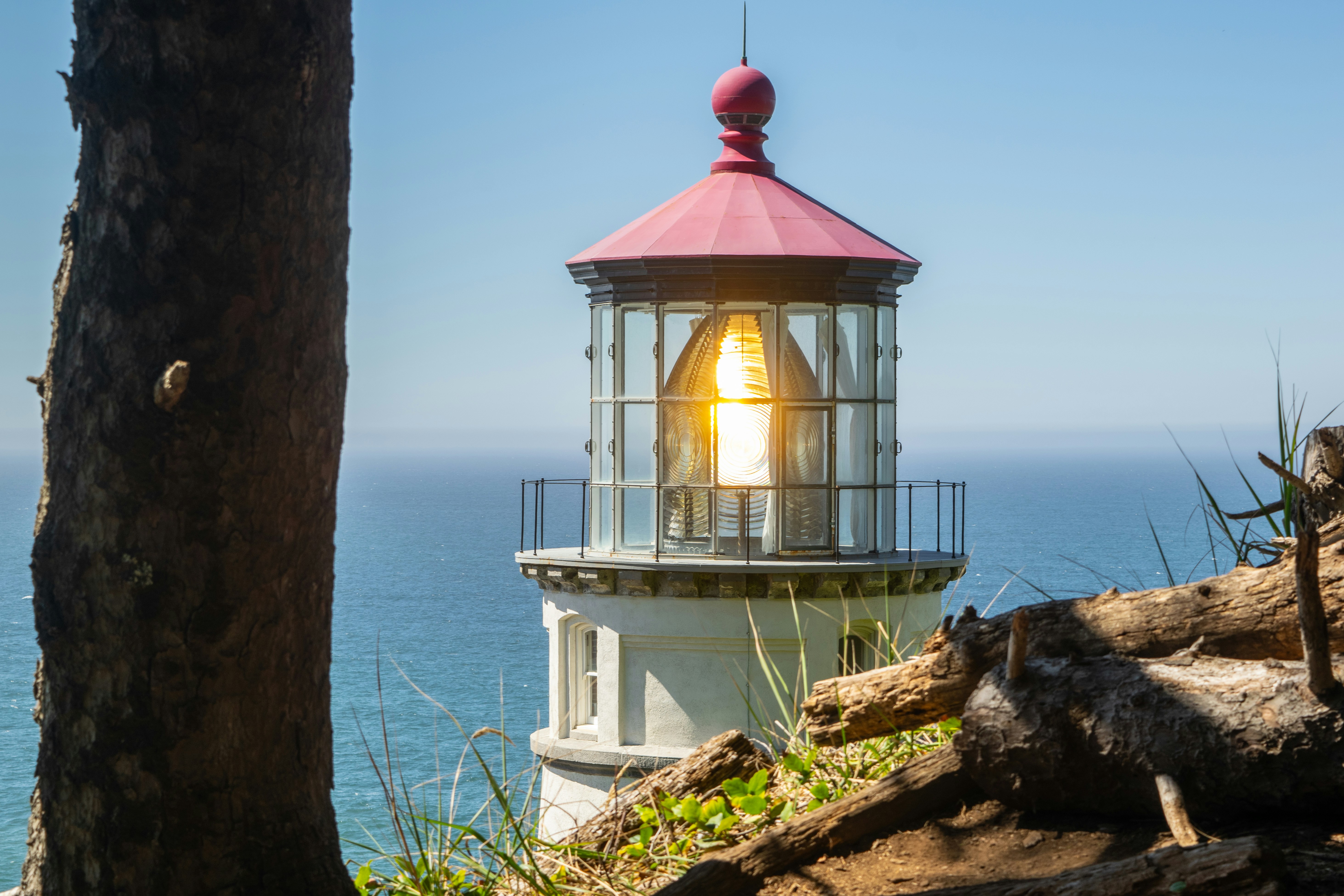 🎃 13 October Oregon STRs + 1 Motel For Sale