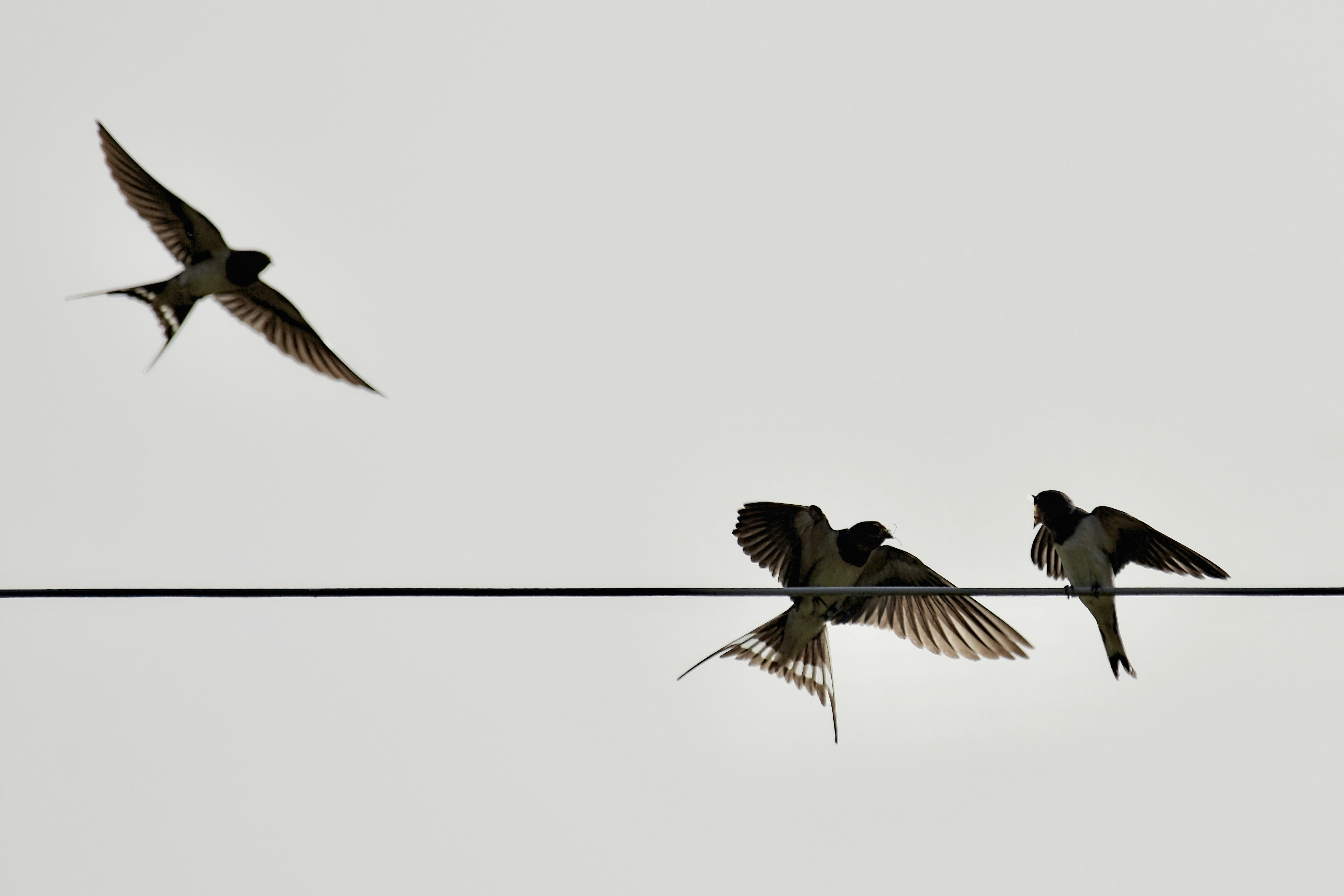 Photo by mariobeducci