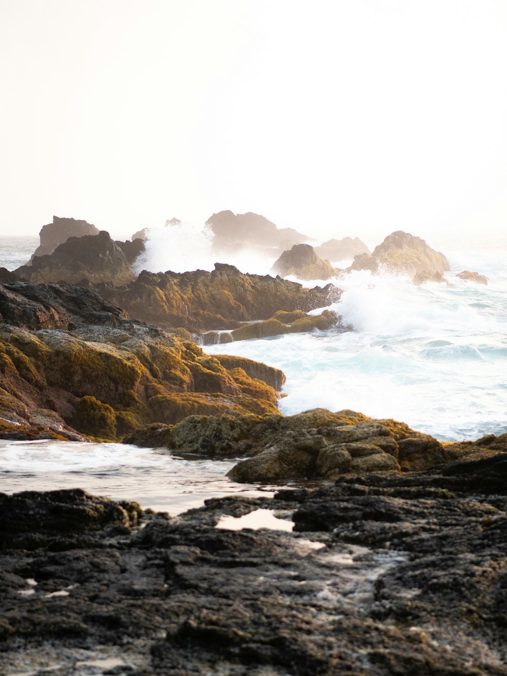 a person standing on a rocky beach next to the ocean