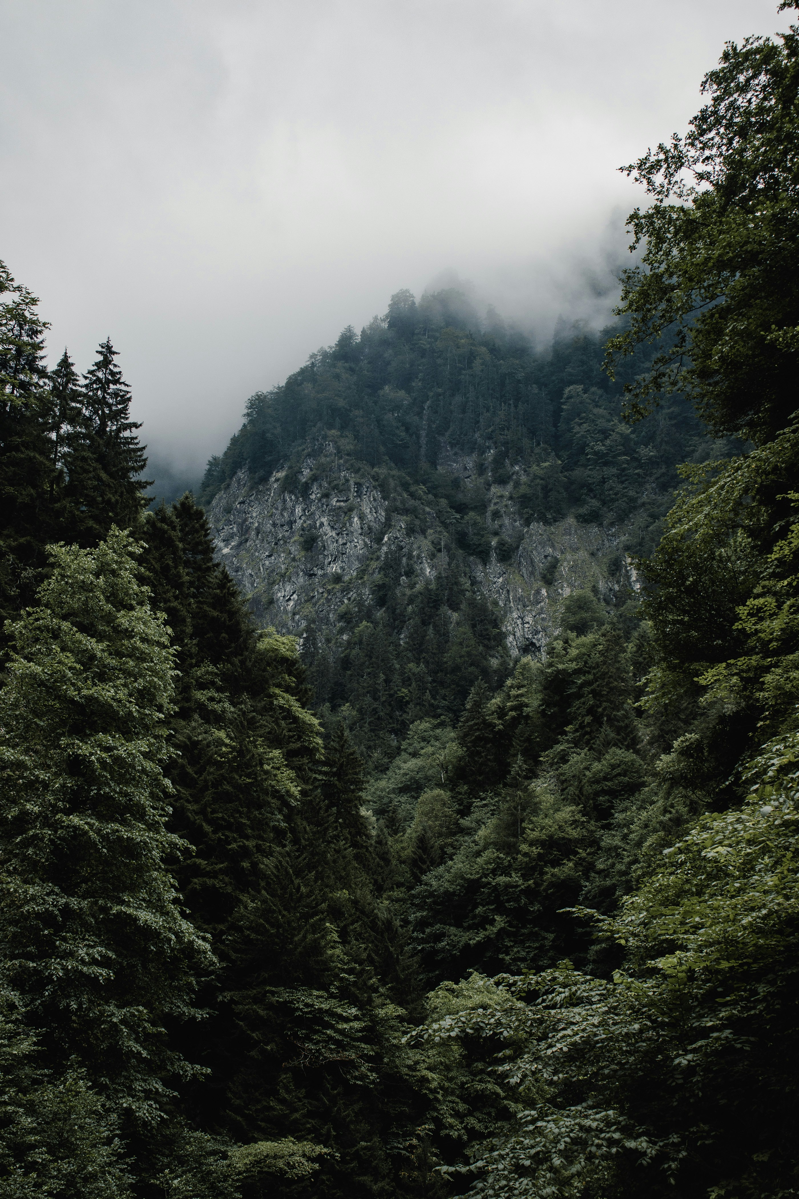 Photo by kadirosmanust