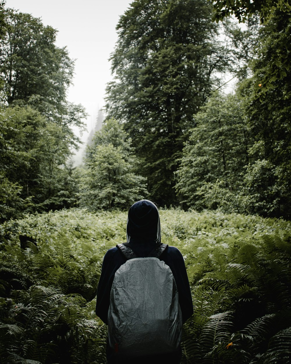 a person with a backpack walking through a forest
