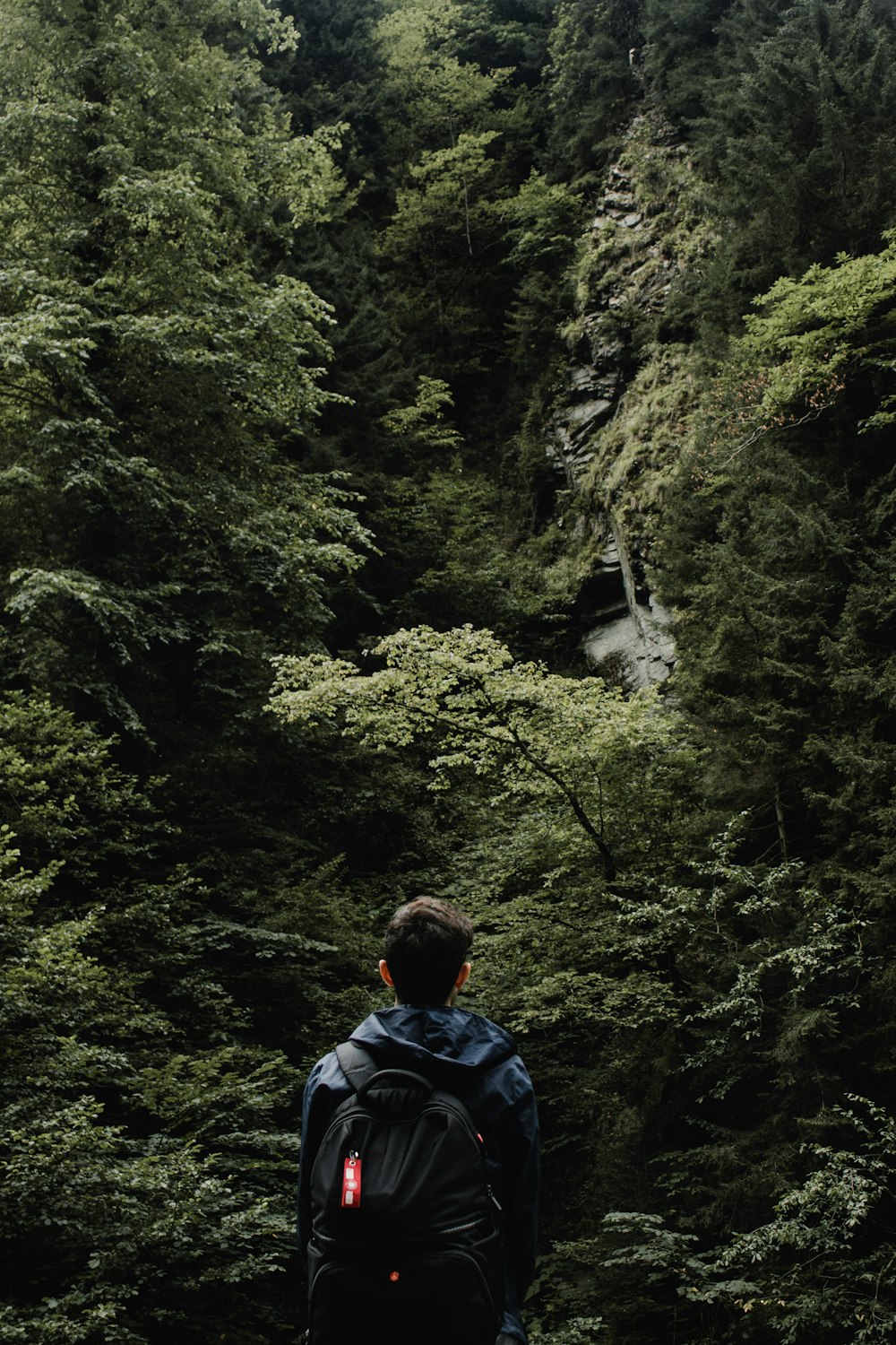 a man with a backpack standing in front of a forest