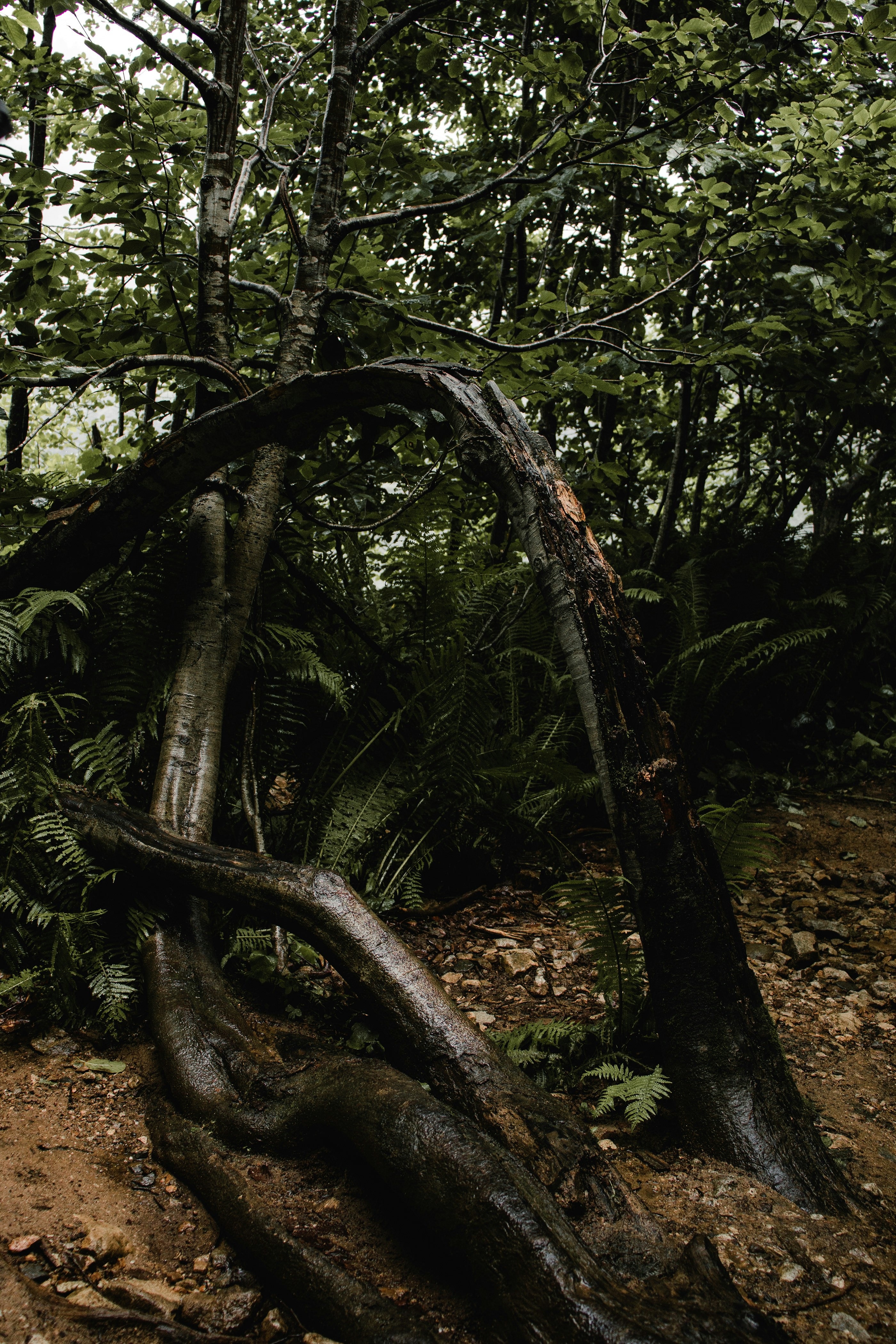 Photo by kadirosmanust