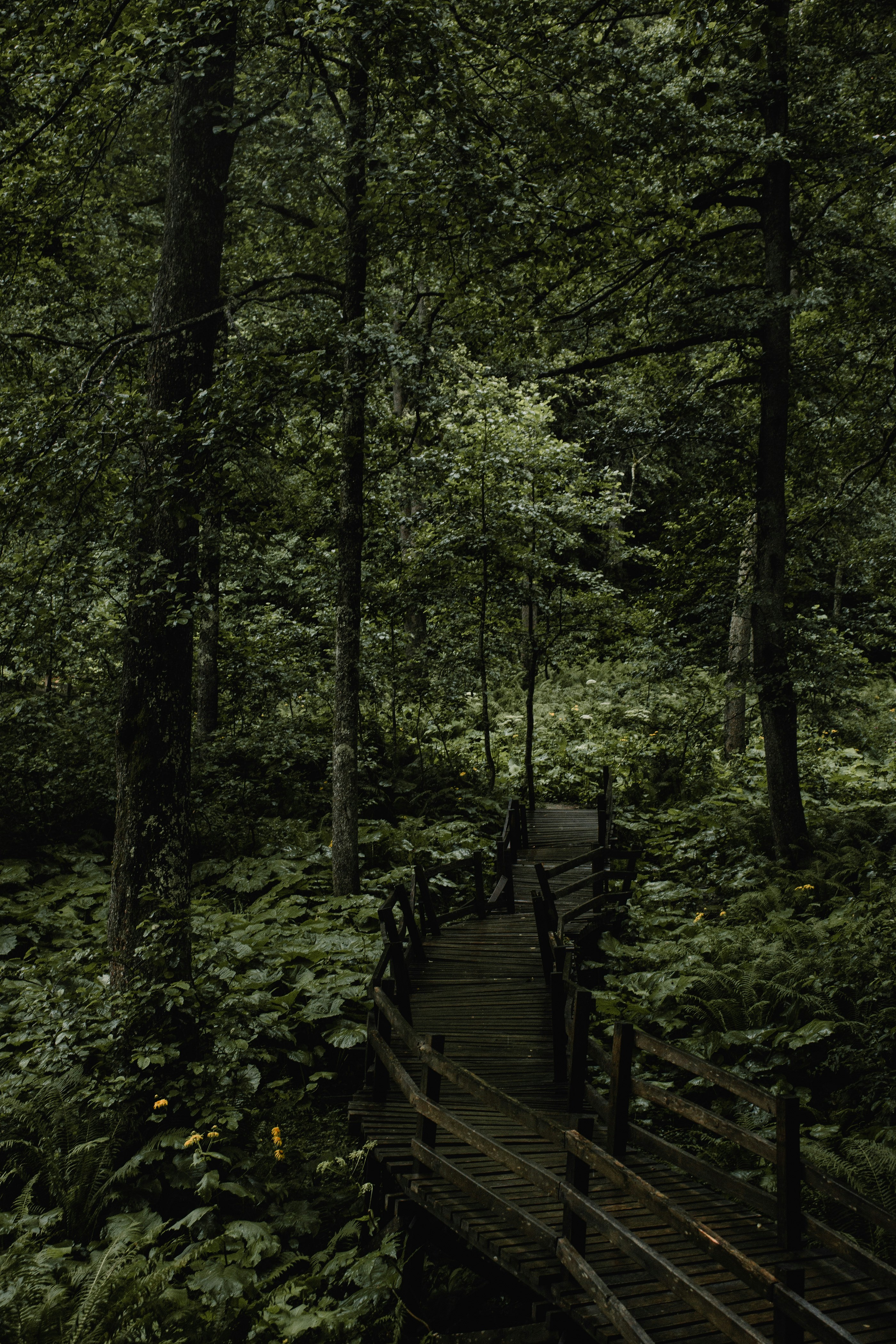 Photo by kadirosmanust