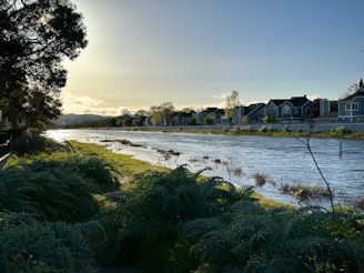 A serene view of detached villas and terraced houses surrounded by lush greenery and a golf course at Riverside.