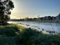 Modern riverside homes with lush greenery and water views.