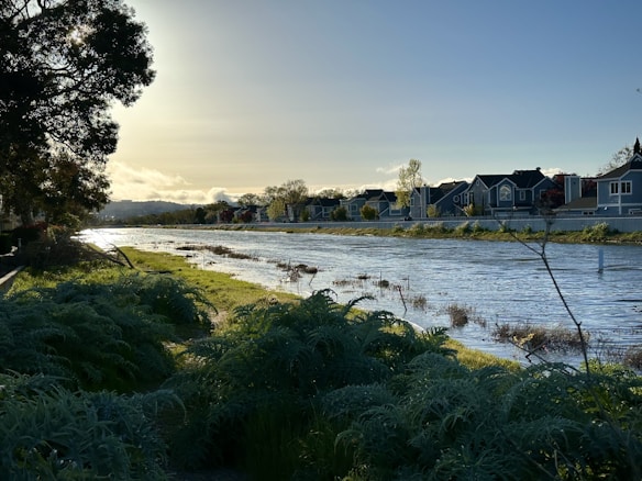 A serene riverside scene with lush greenery in the foreground and a line of modern houses along the opposite bank. The river flows gently, reflecting the soft light of a setting or rising sun. Tall trees frame the image on one side, and the sky is clear with a few clouds.