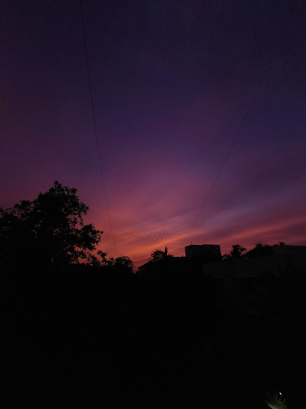 un ciel violet et rouge la nuit avec quelques lignes électriques au premier plan