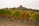 A vineyard stretches across a hillside with rows of grapevines displaying autumnal shades of green, yellow, and brown. In the background, a rustic stone building is situated under an overcast sky, surrounded by a mix of trees and bushes.