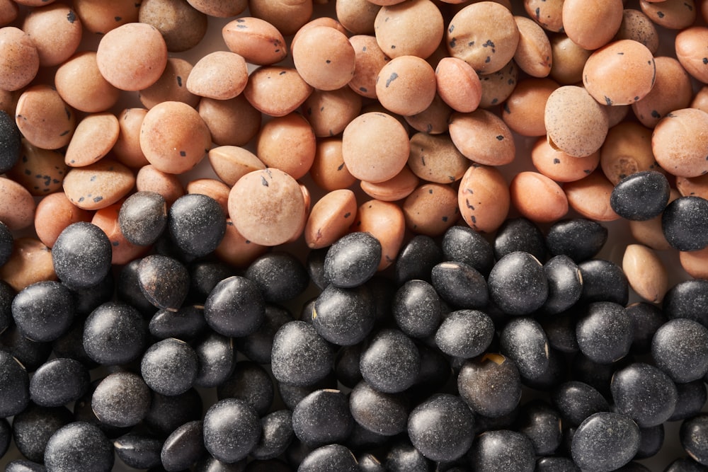 a pile of black and brown beans next to each other