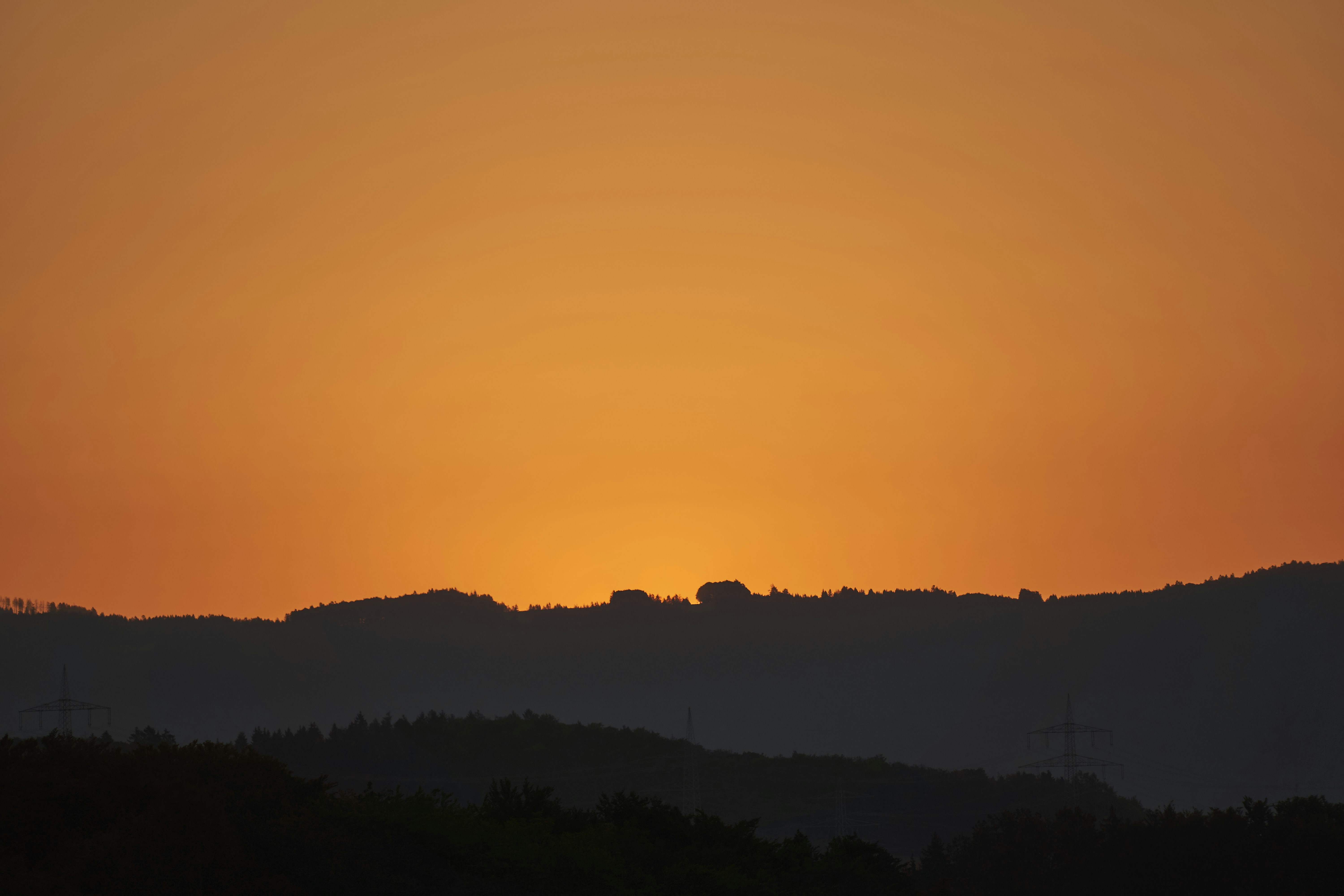 Photo by wolfgang_hasselmann