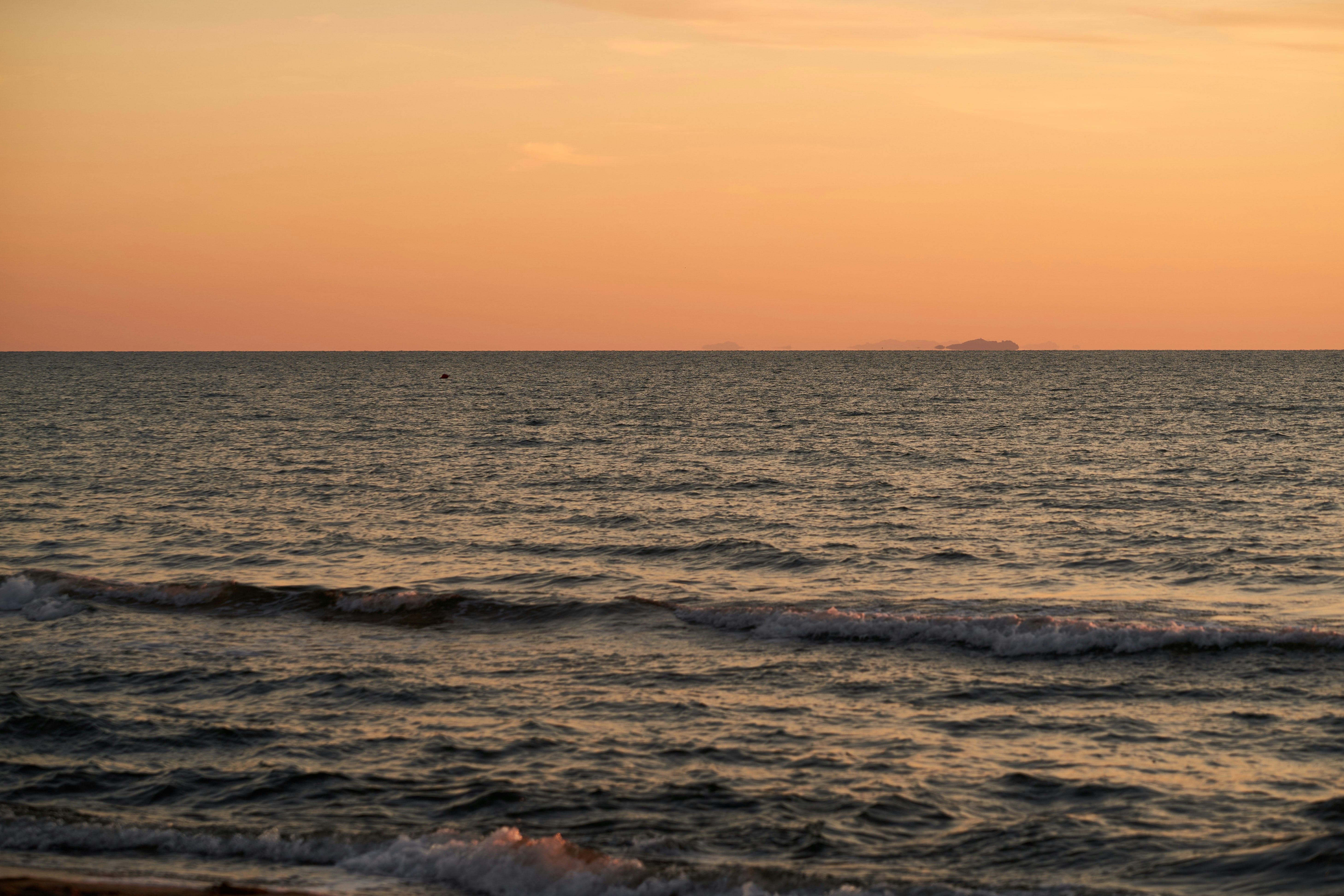 Photo by wolfgang_hasselmann