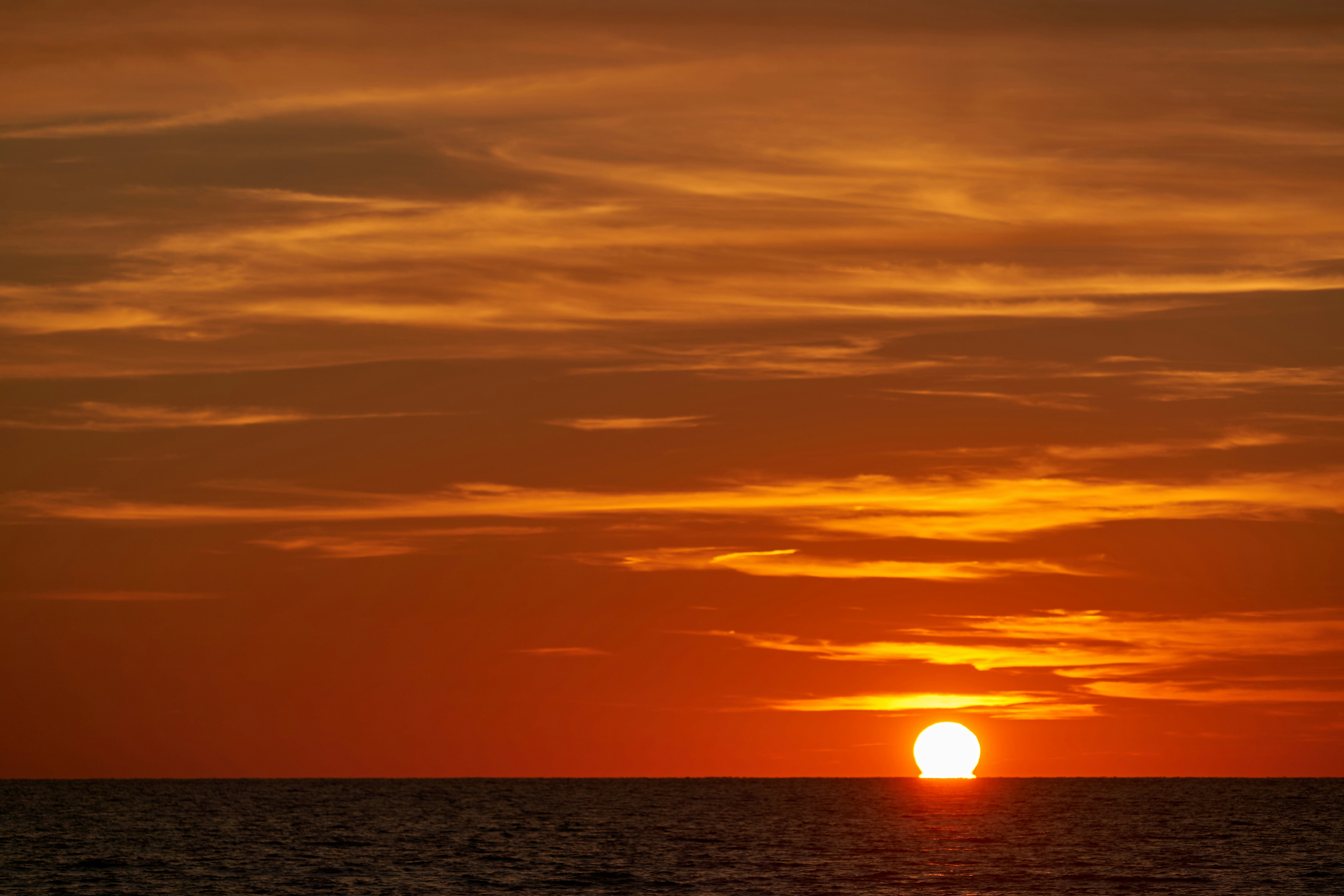 Photo by wolfgang_hasselmann