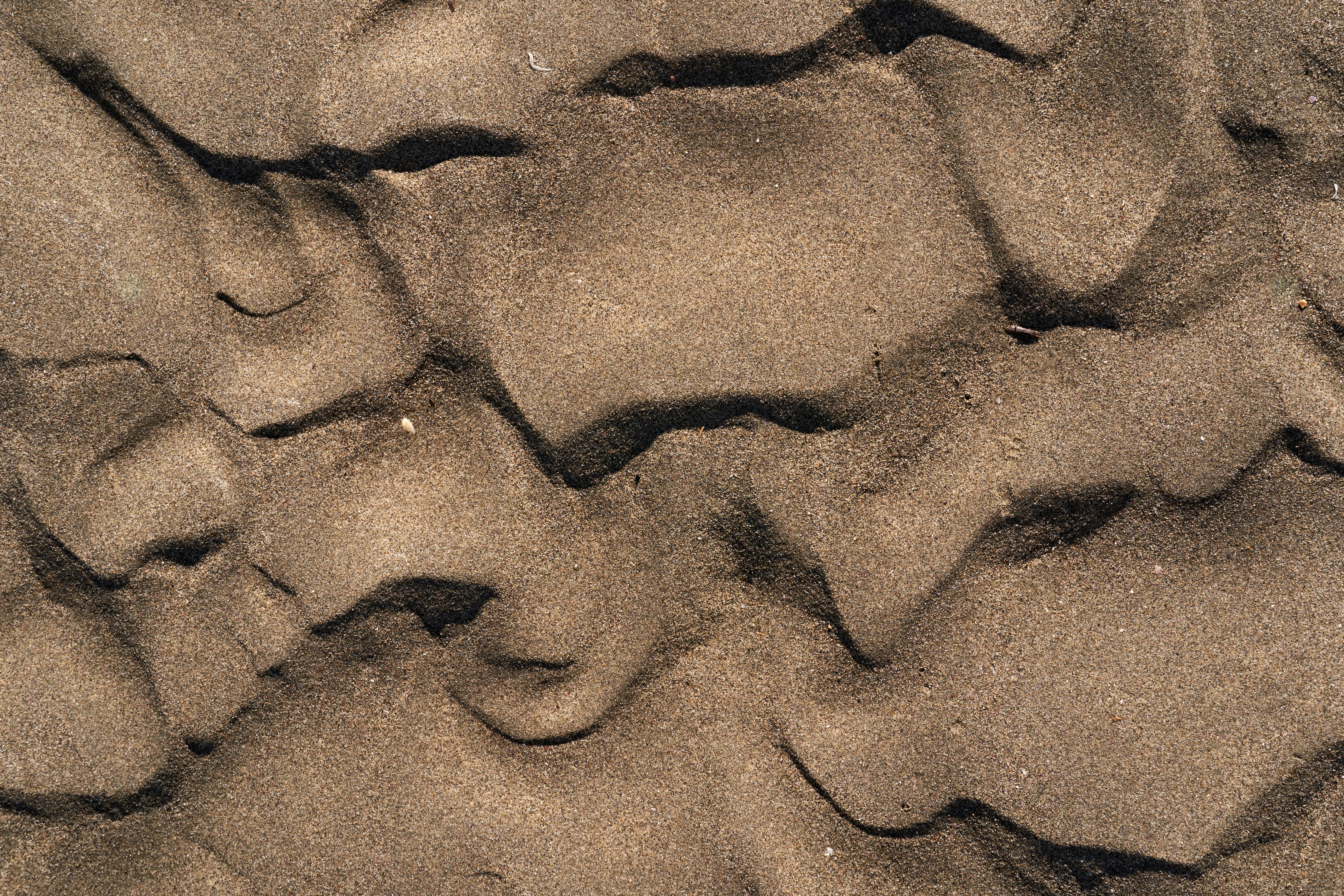 Photo by wolfgang_hasselmann