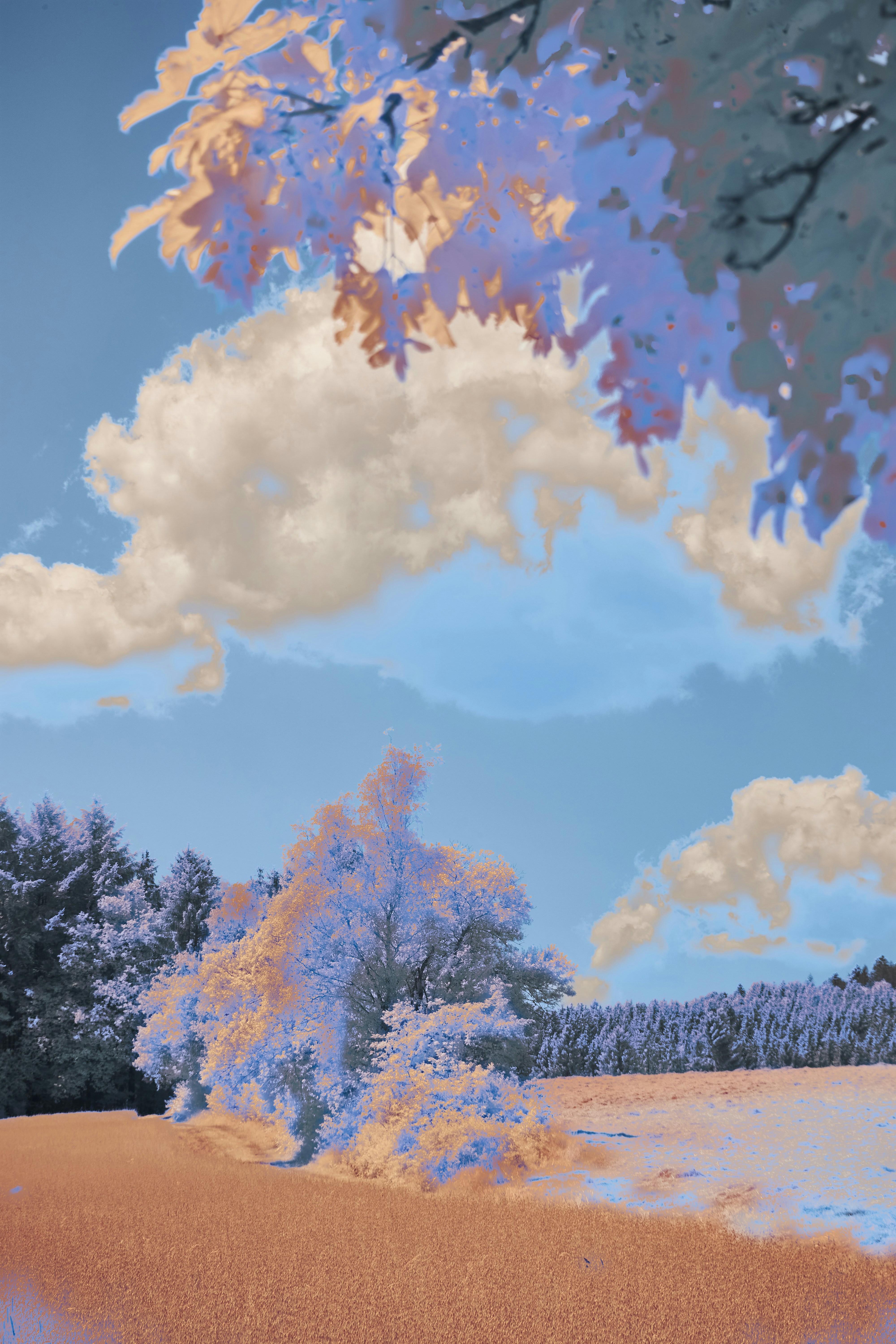 Photo by wolfgang_hasselmann