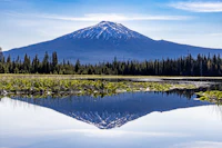 A snow-capped volcanic peak and the line of pines below it mirrored upside down in a glassy lake; the mountain in the water is noticeably darker than the real one