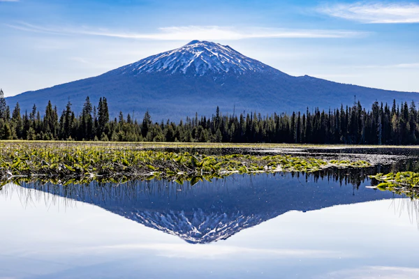Karlı bir volkanik dağ ve önündeki çam sırası, dümdüz göl yüzeyinde baş aşağı yansıyor; sudaki dağ gerçeğinden belirgin biçimde daha koyu duruyor