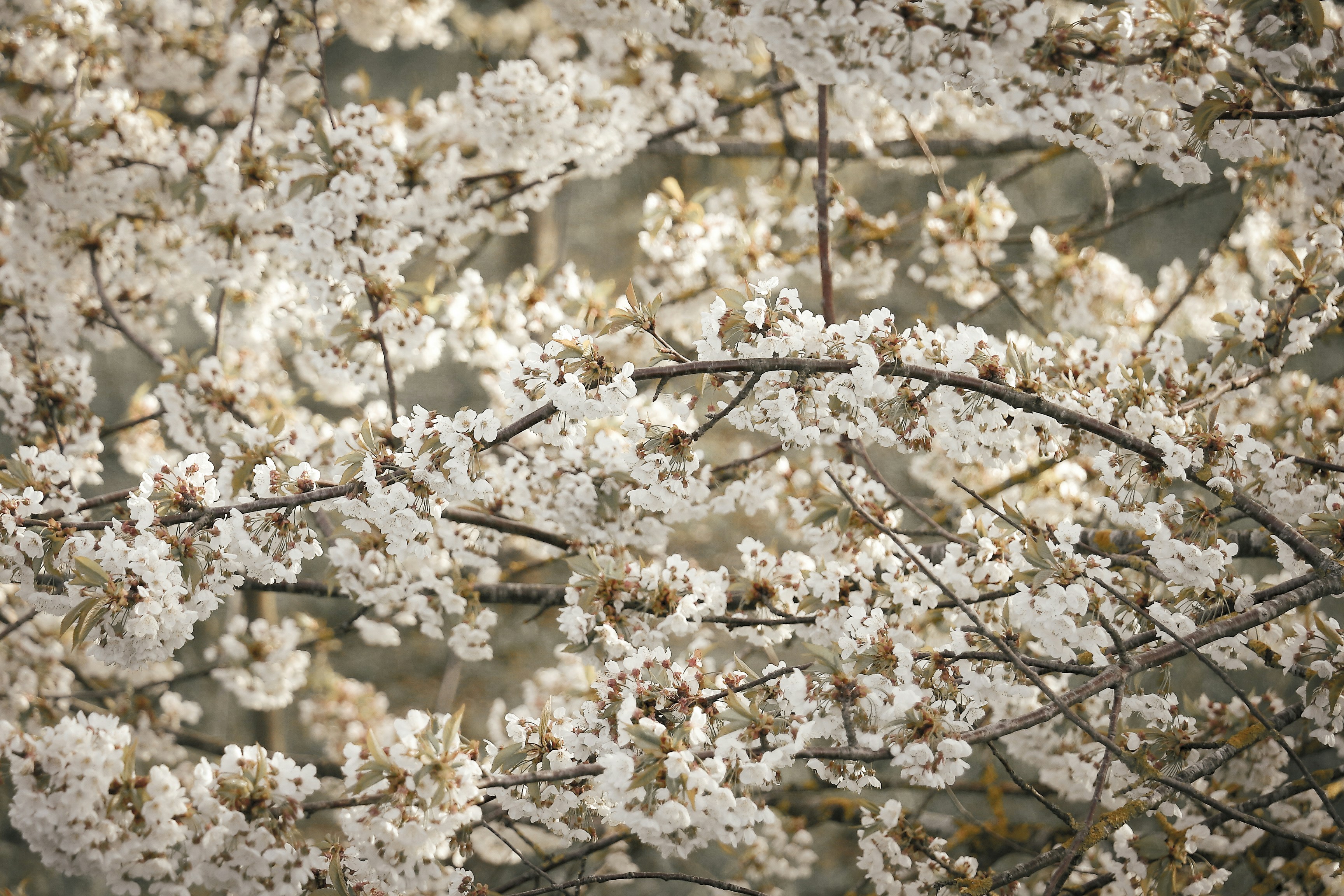 Photo by julie_m_design